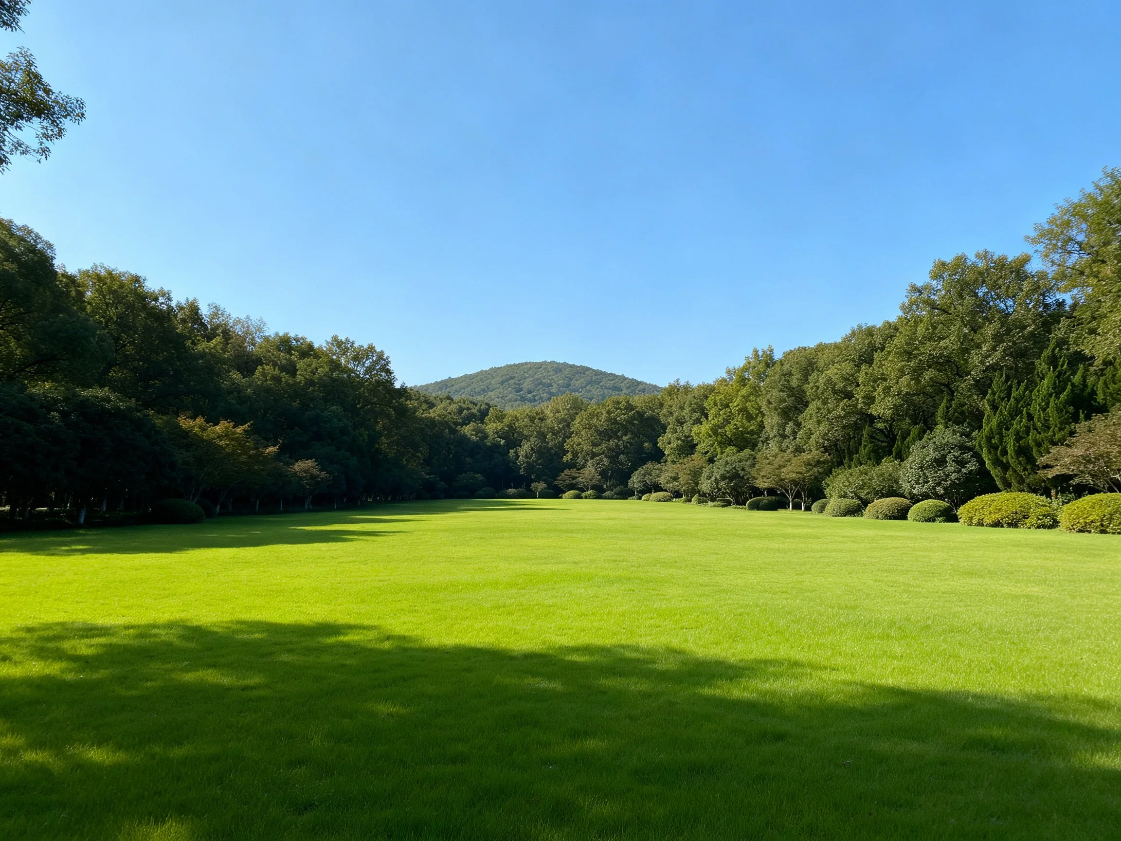 A vast green lawn flanked by dense trees, under a clear blue sky with a distant hill