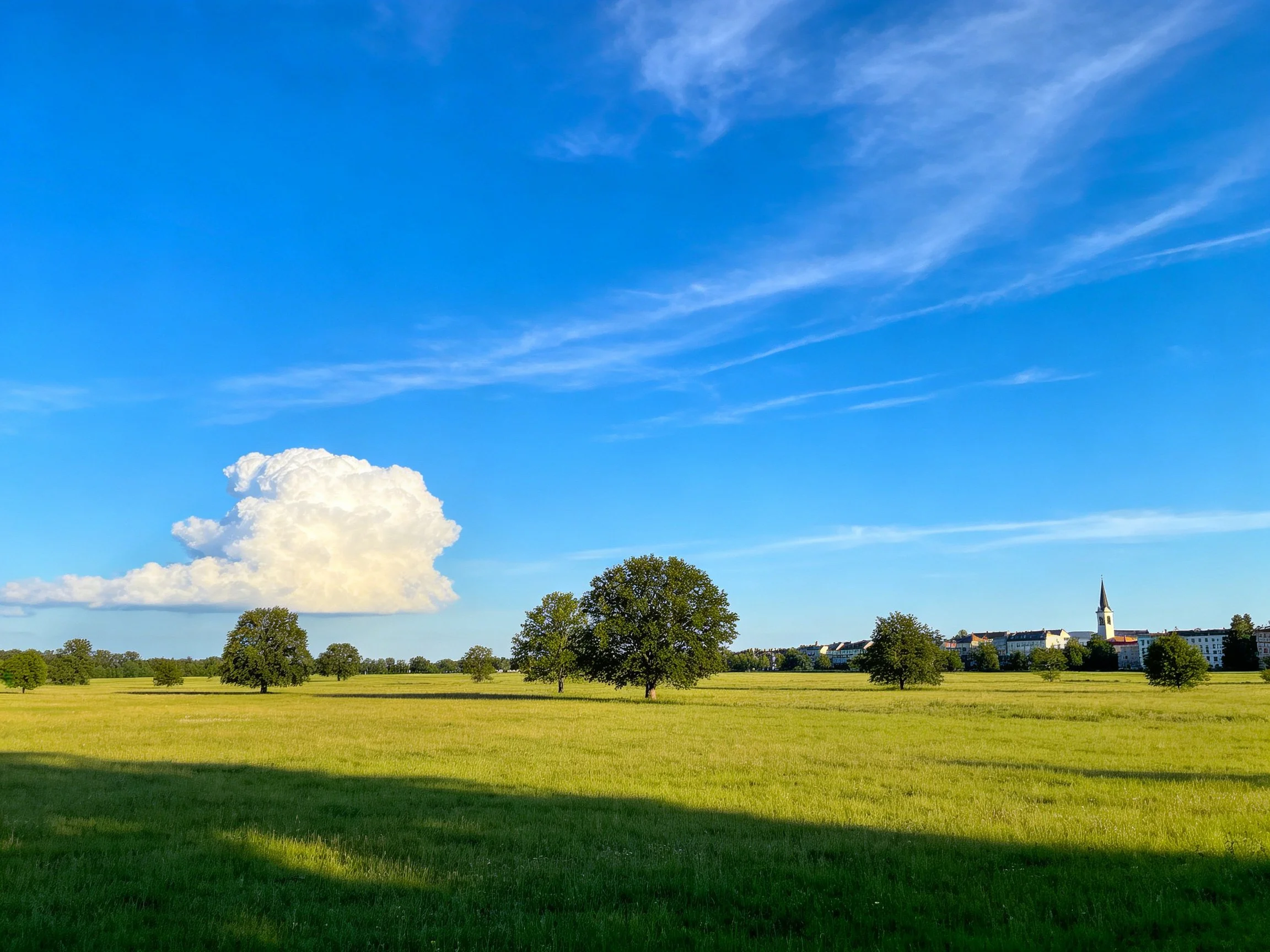 A vast green meadow with scattered trees and distant buildings