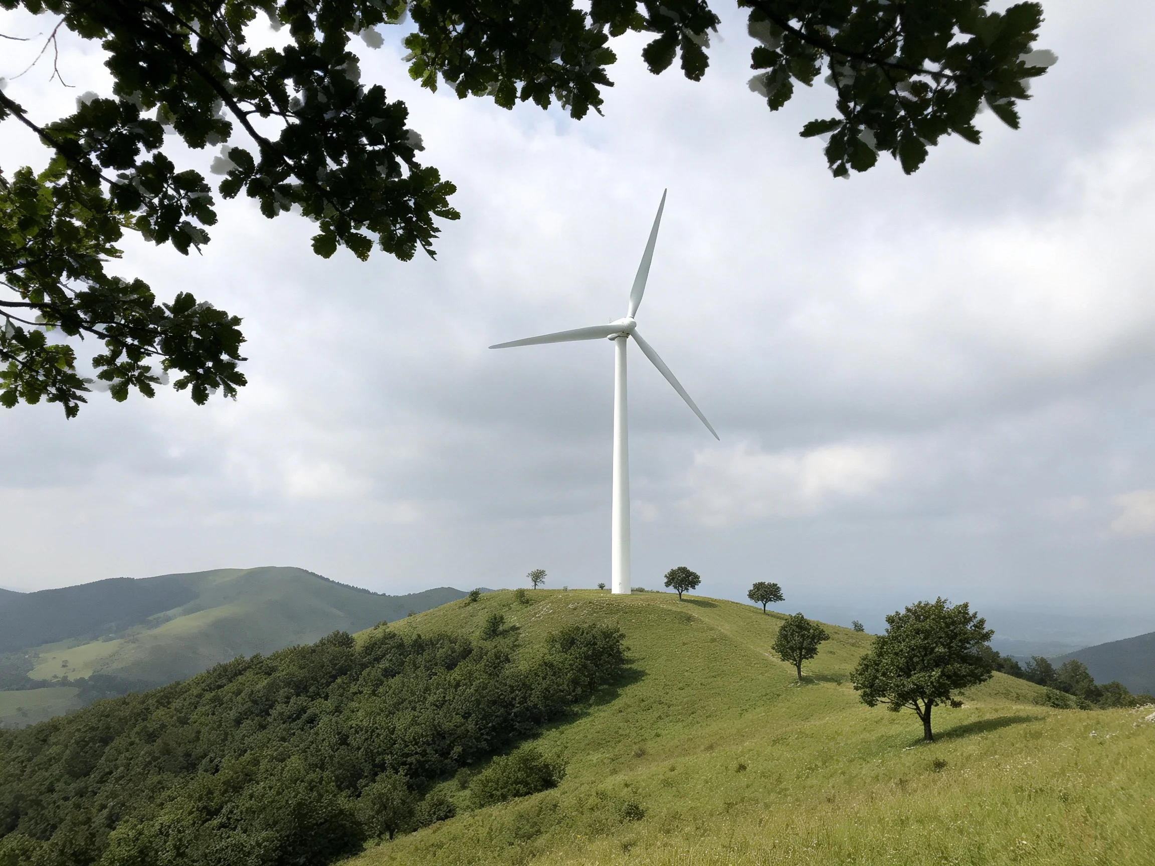 A white wind turbine atop a verdant hill with scattered trees