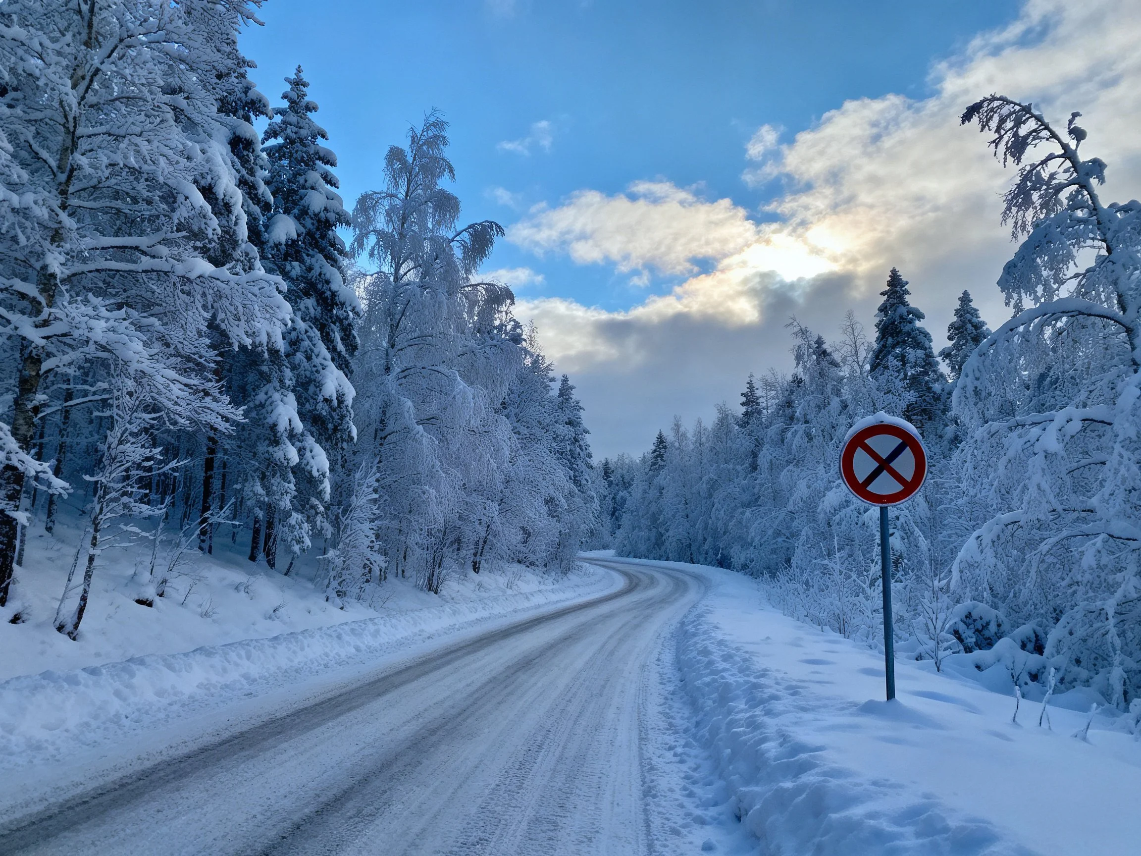 A winding snowy road through frost-laden forest trees