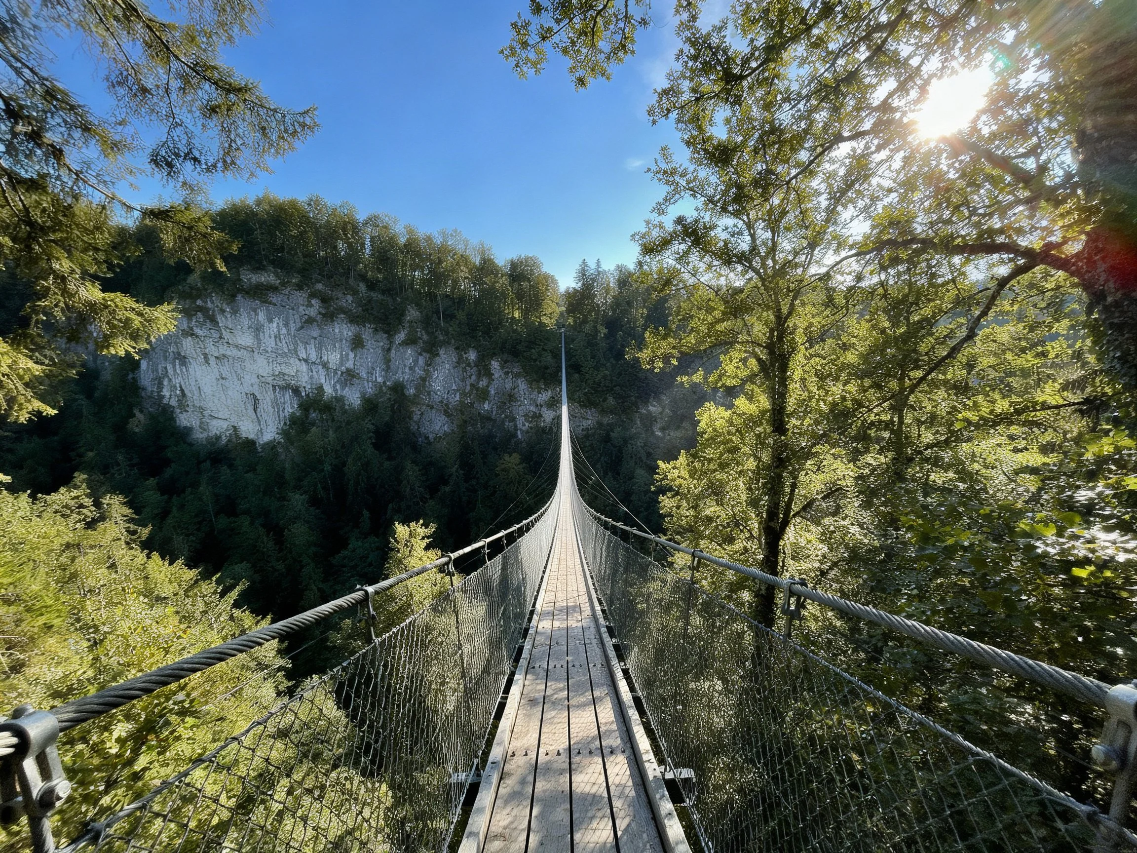 A wooden suspension bridge spans a forest canyon under bright sunlight