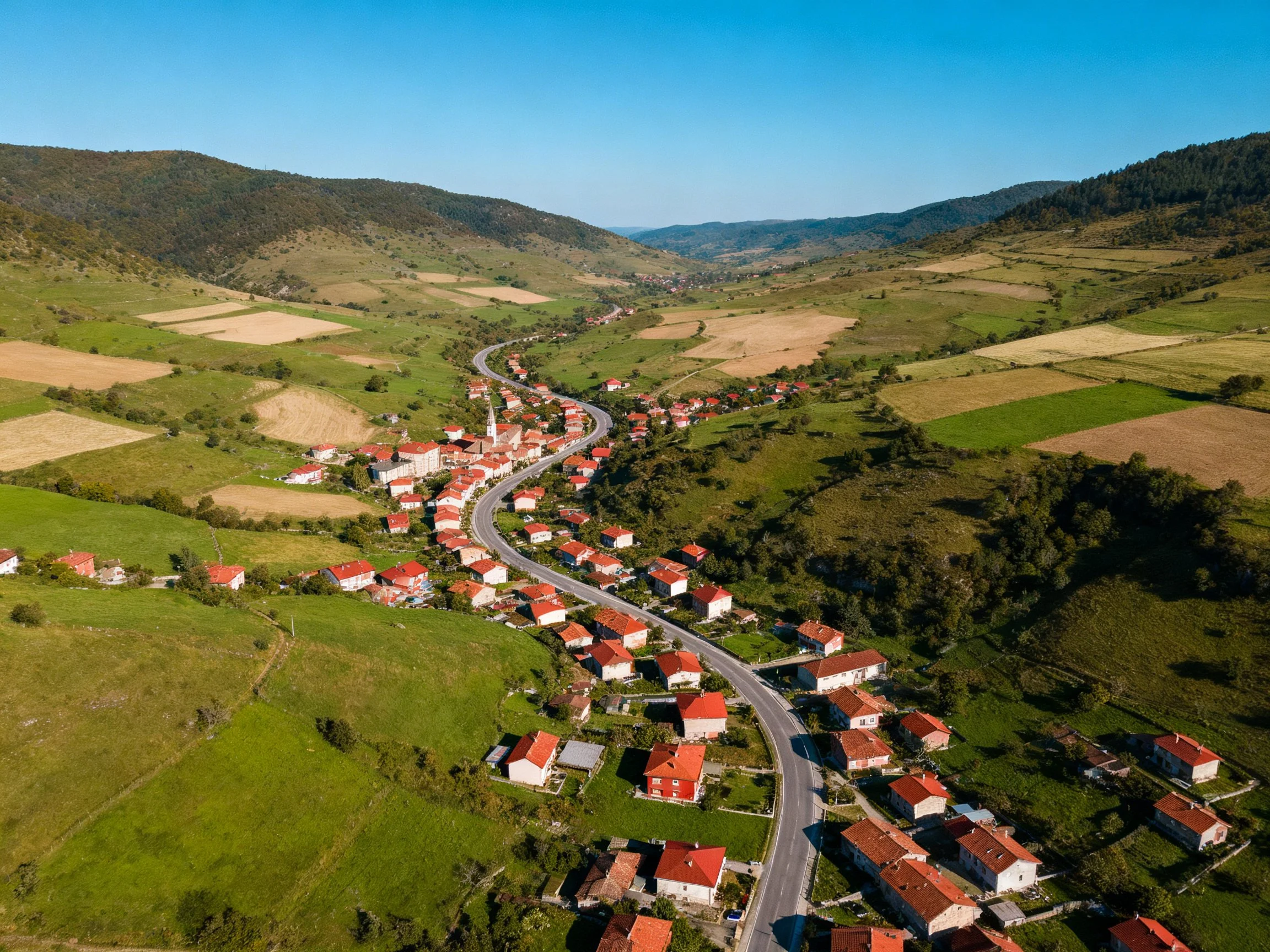 Aerial View of Village with Red-Roofed Homes in Green Valley