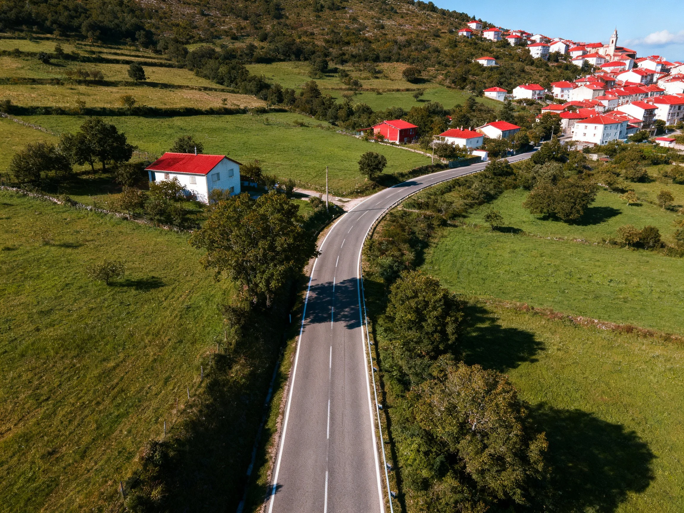Aerial view of a winding road through green fields with red-roofed homes