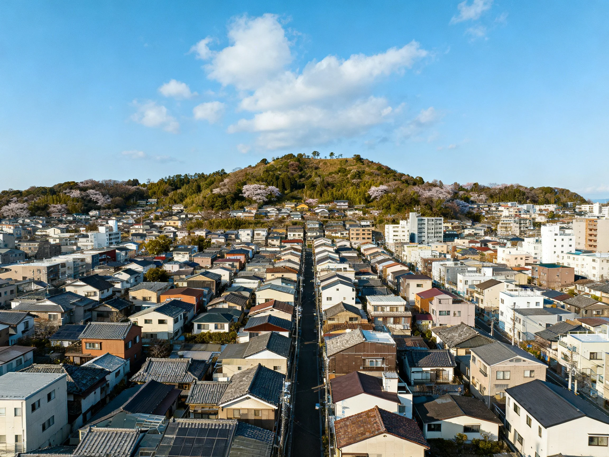 Aerial view of residential neighborhood with hilltop greenery and cherry blossoms