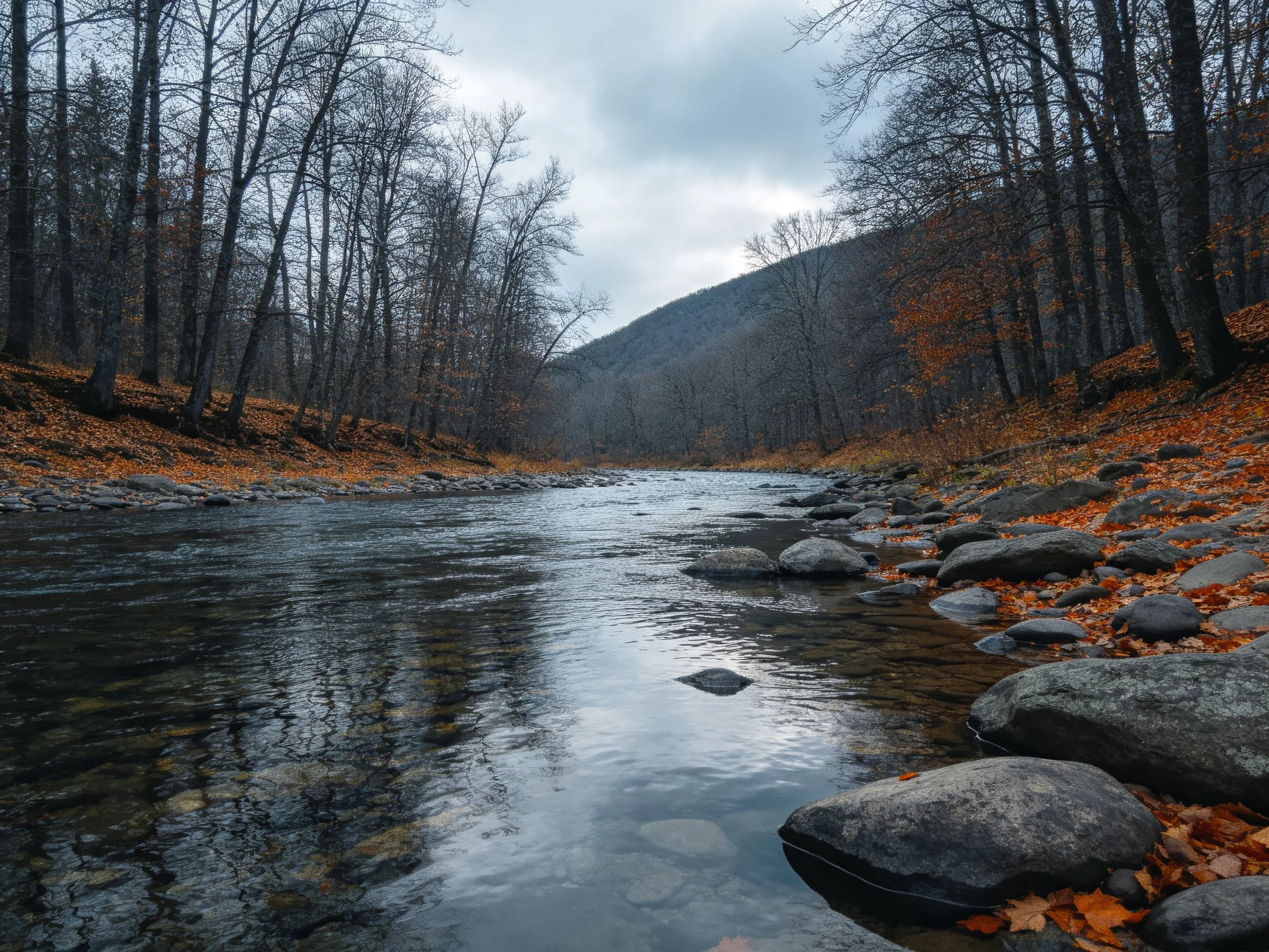 An autumn river winds through a forest with rocky banks