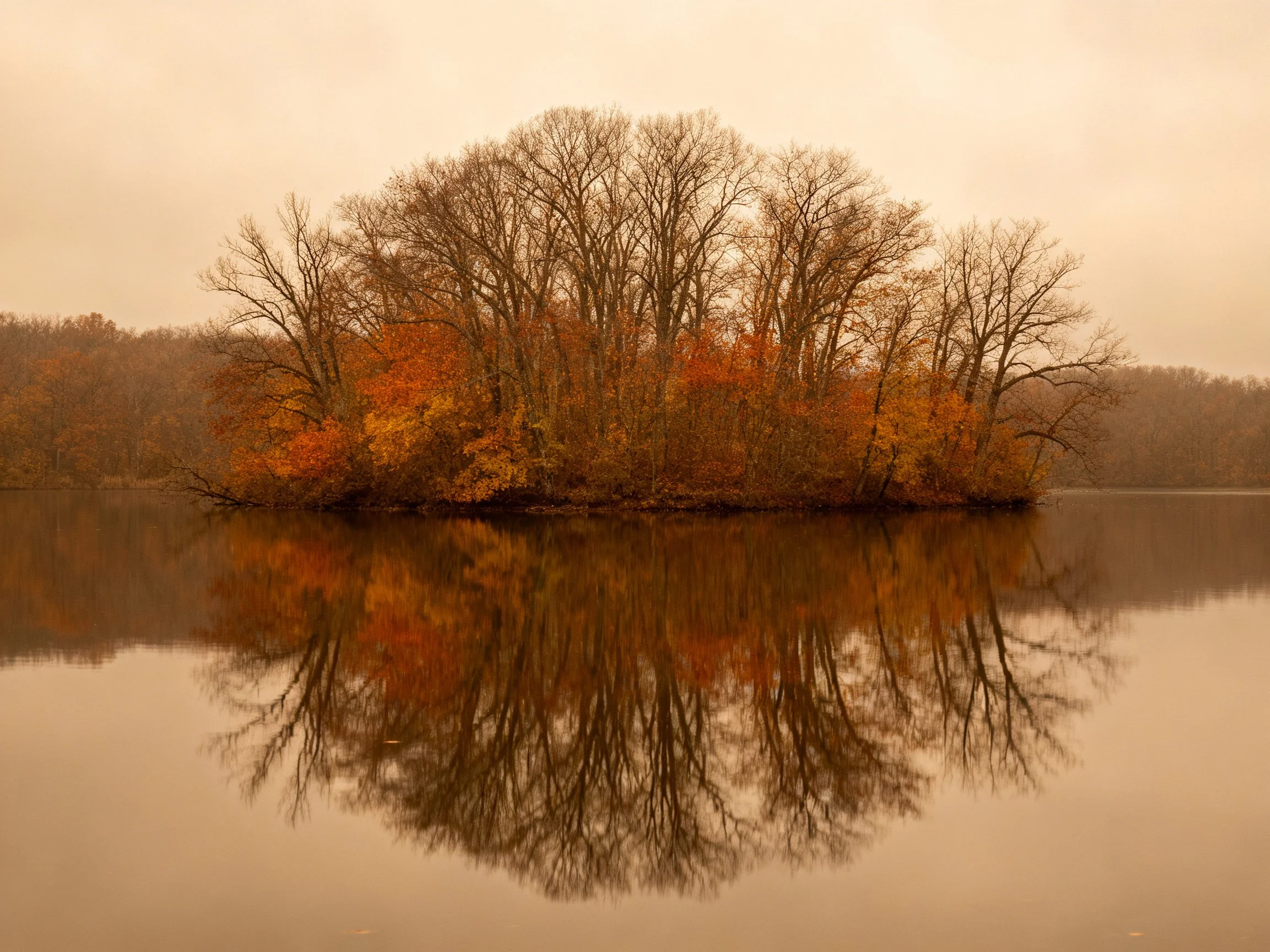 Autumn Trees Cluster on a Small Island Reflecting in Still Water