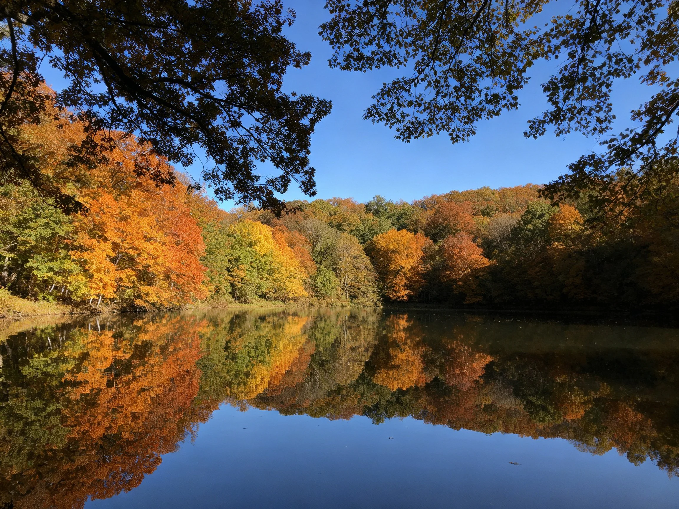 Autumn forest with vibrant fall foliage reflected in still lake water