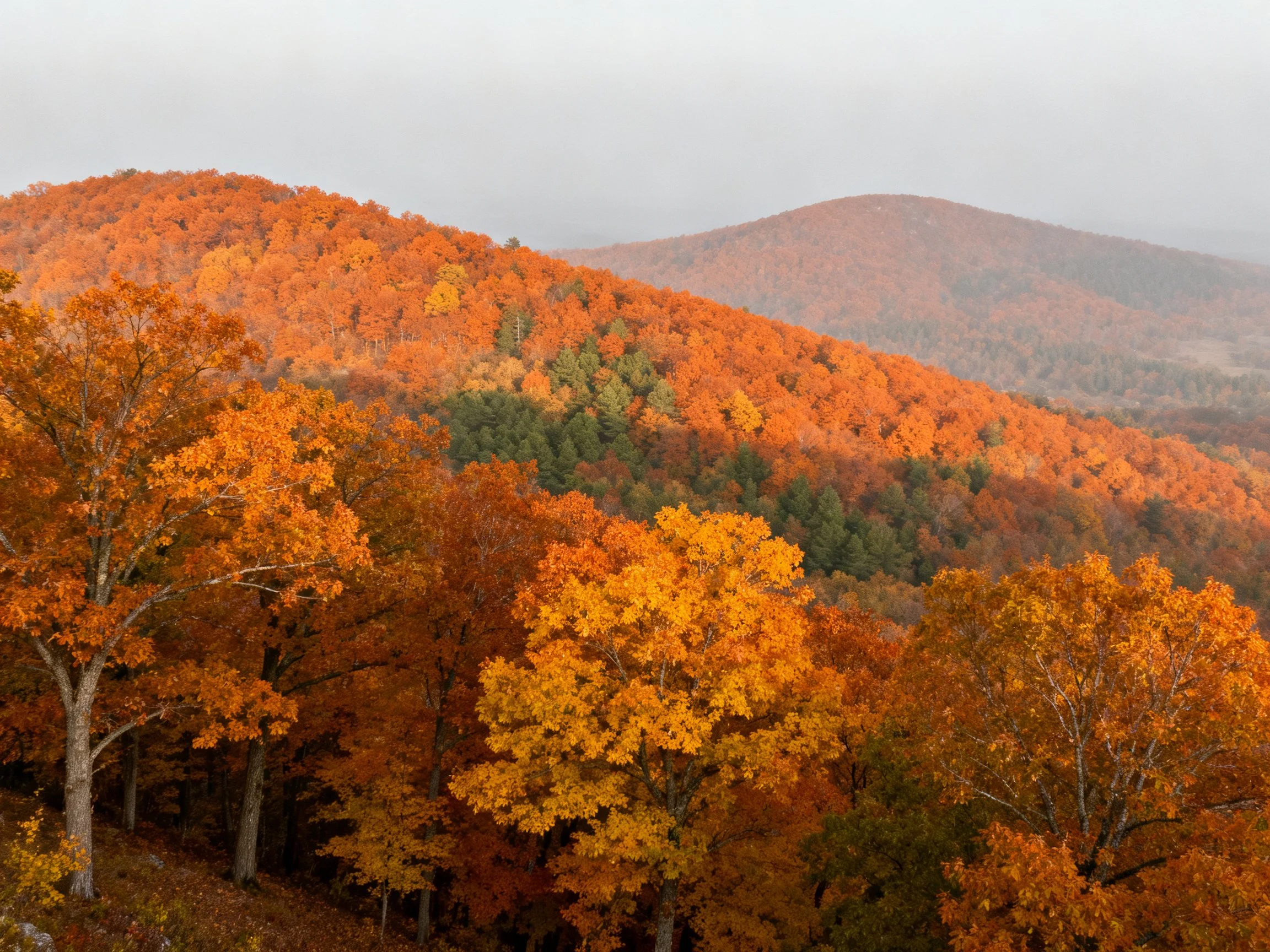Autumn hills blanketed by vibrant orange, yellow, and green trees