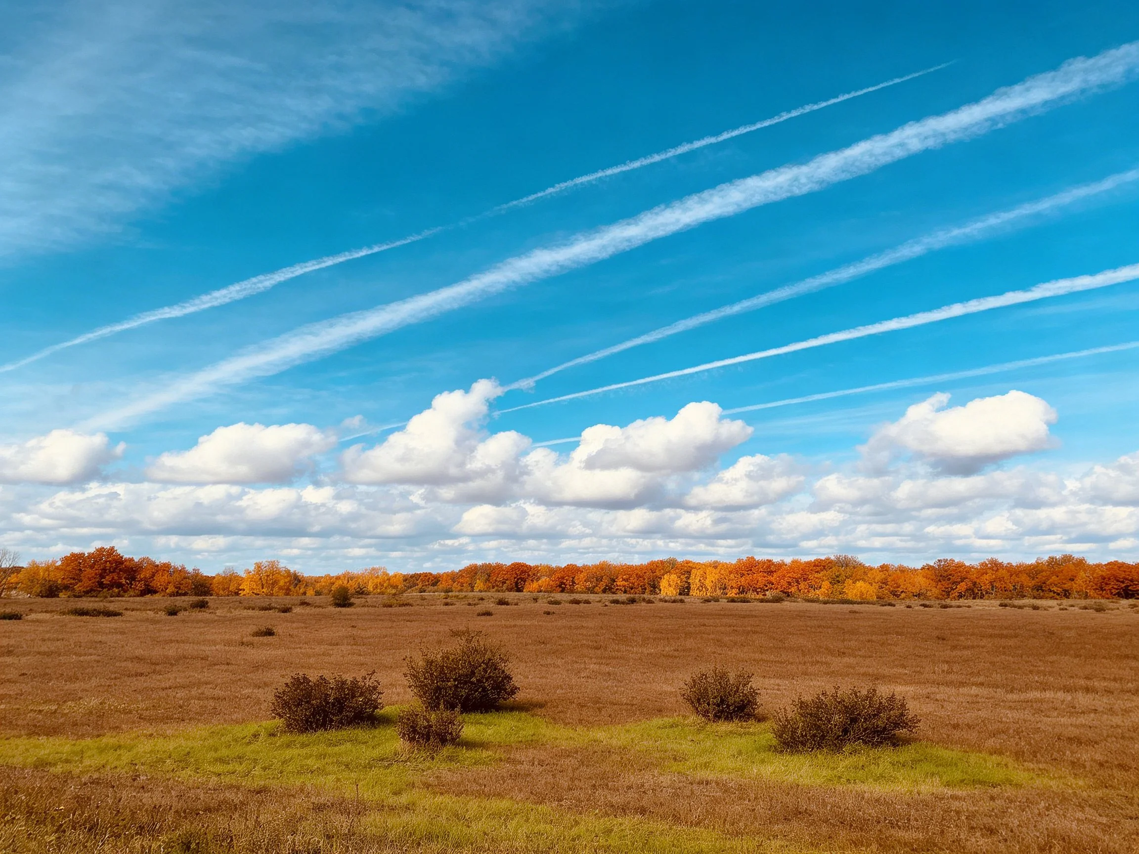 Autumnal countryside scene with golden fields and colorful forest under bright blue sky