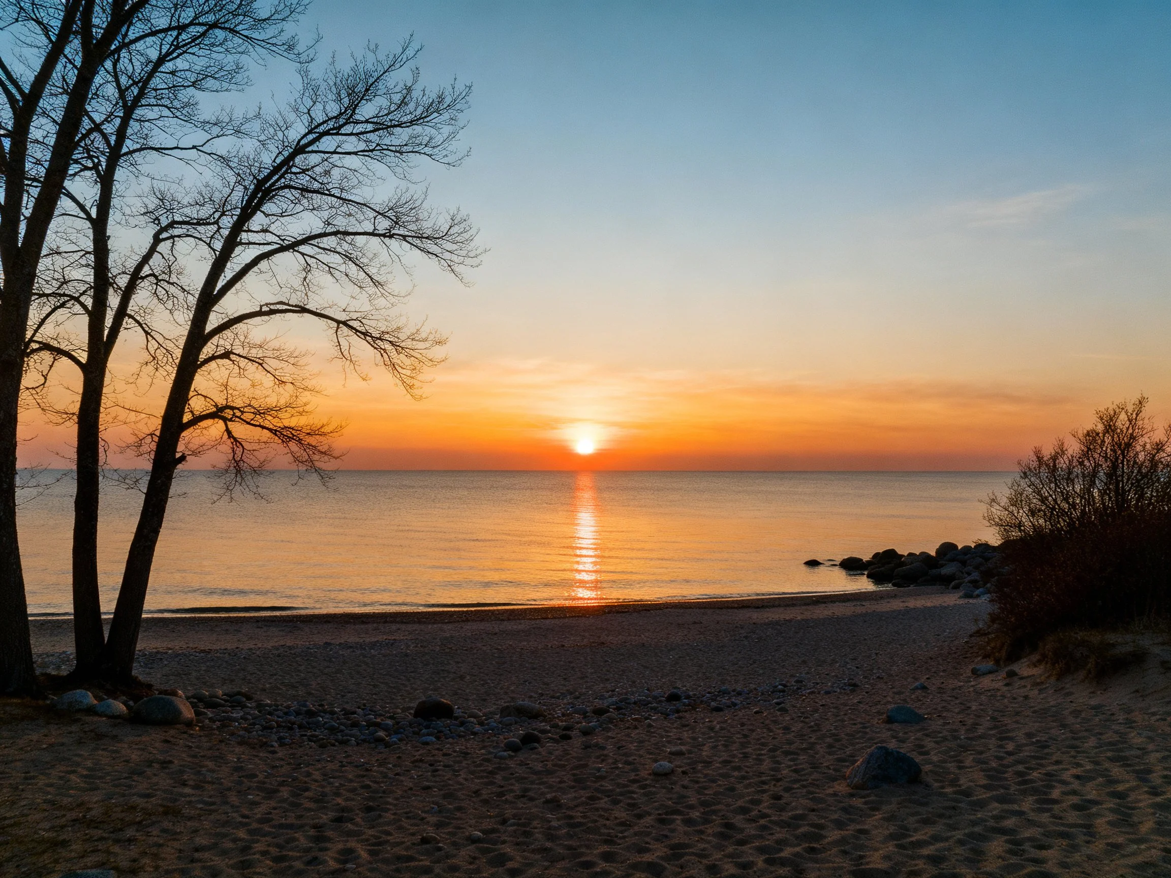 Bare trees frame a sandy beach under a vibrant sunset sky