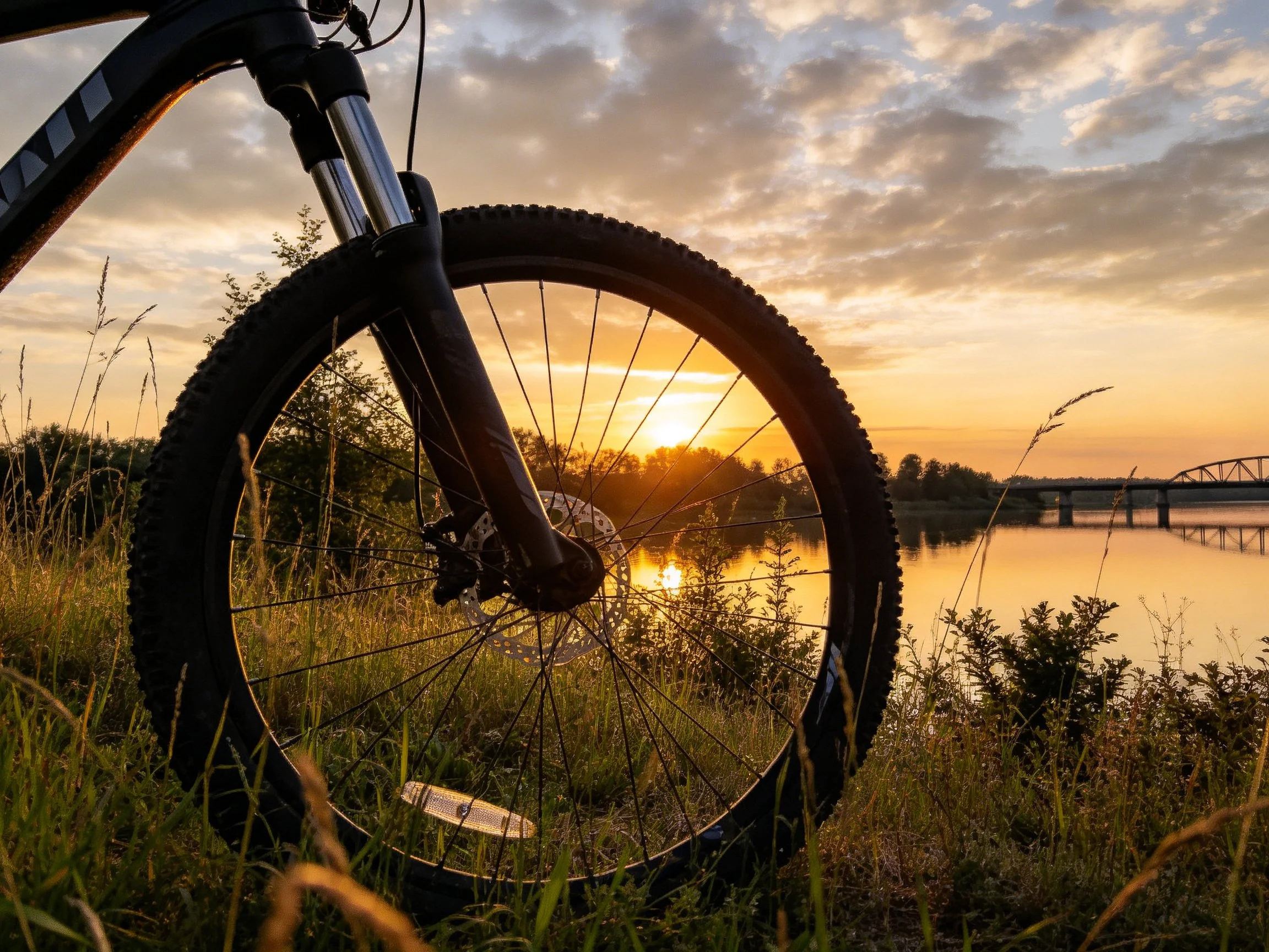 Bicycle wheel framed by golden sunset near calmwater and bridge