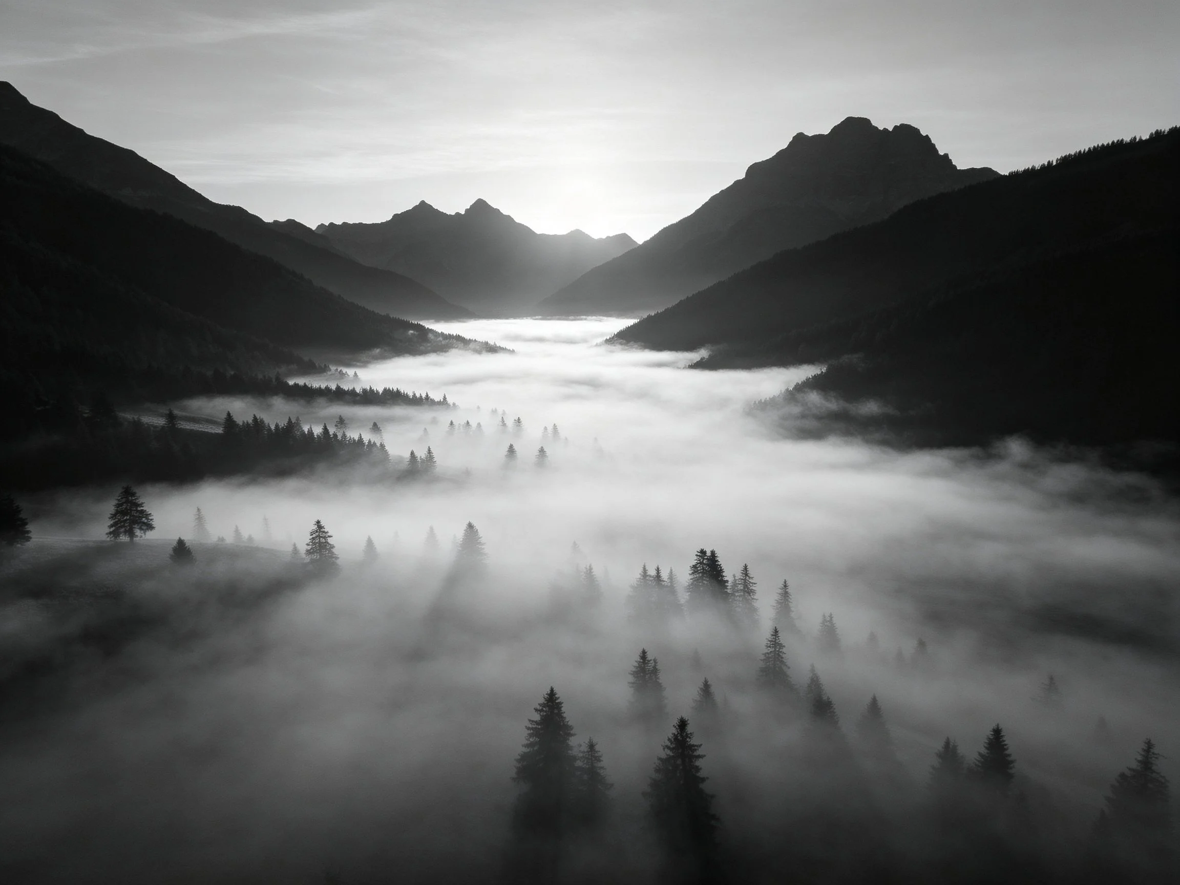 Black and white mountain valley with fog and tree silhouettes