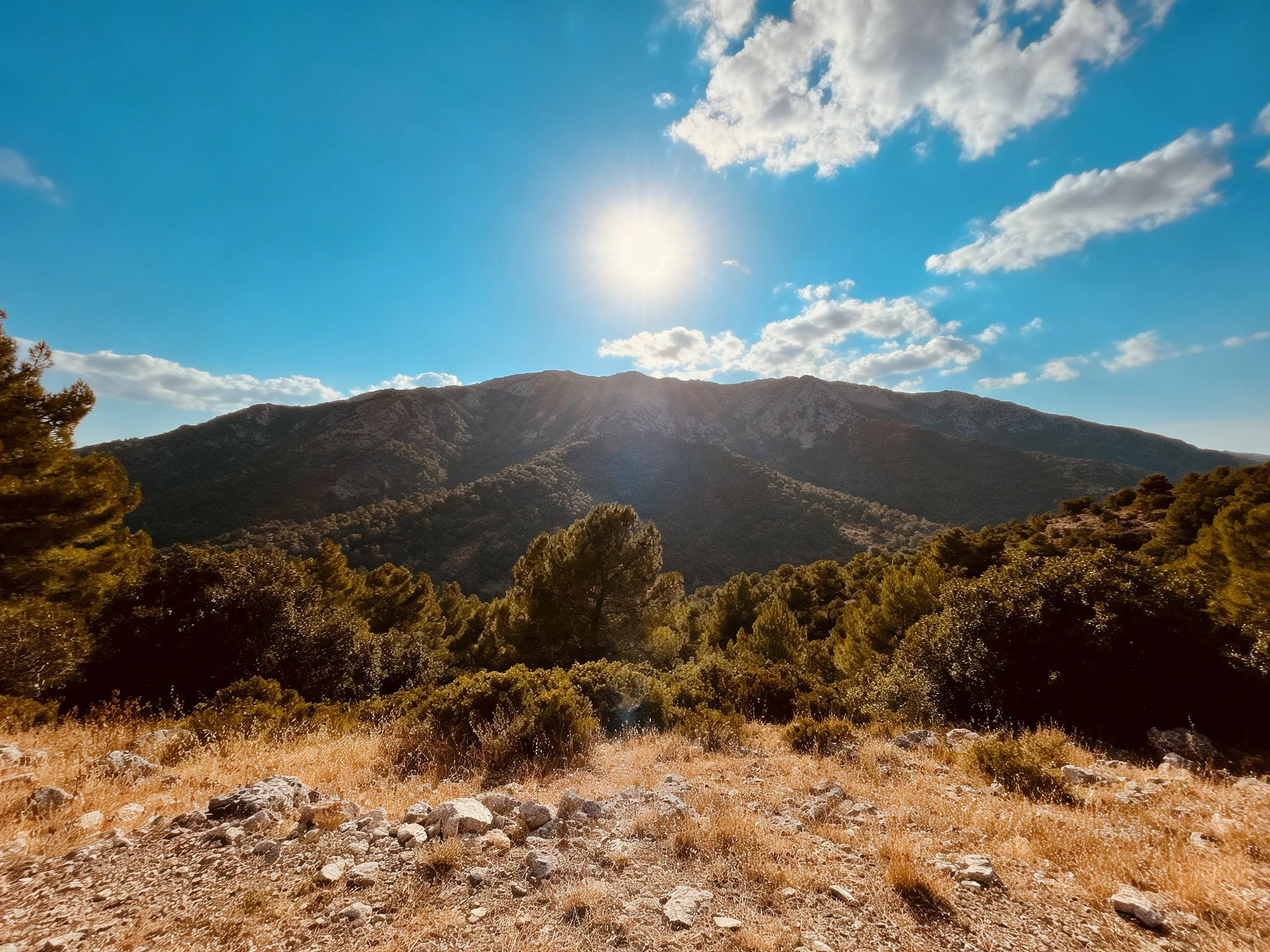 Bright sun over mountainous terrain with lush green forests