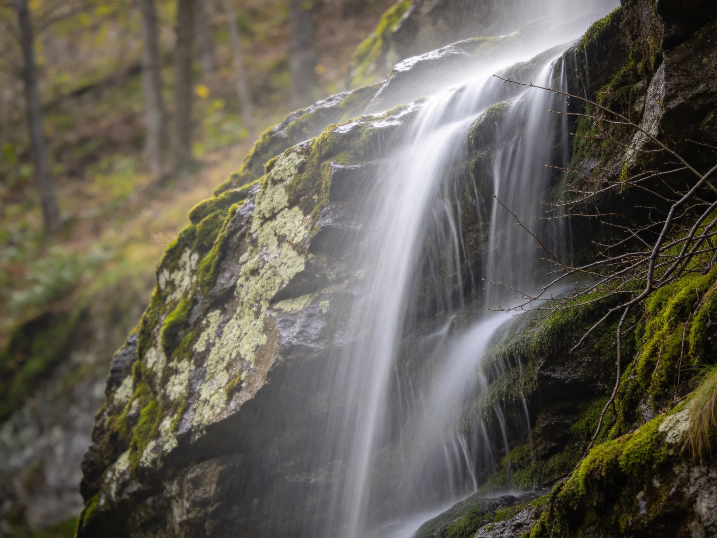 Cascading Waterfall Flows Over Moss-Covered Rocks in Forest