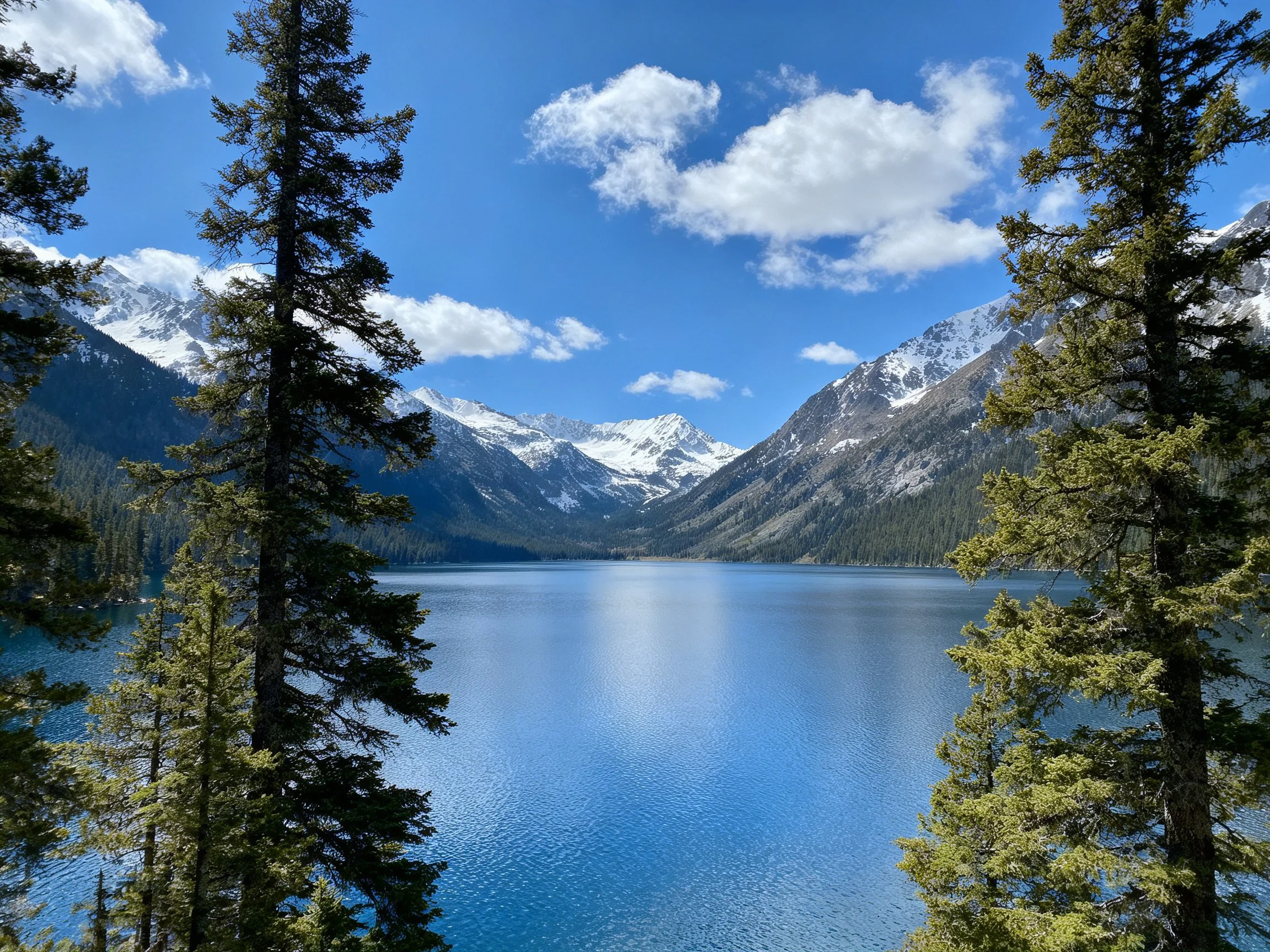 Clear blue lake between snow-capped mountains and evergreen forests