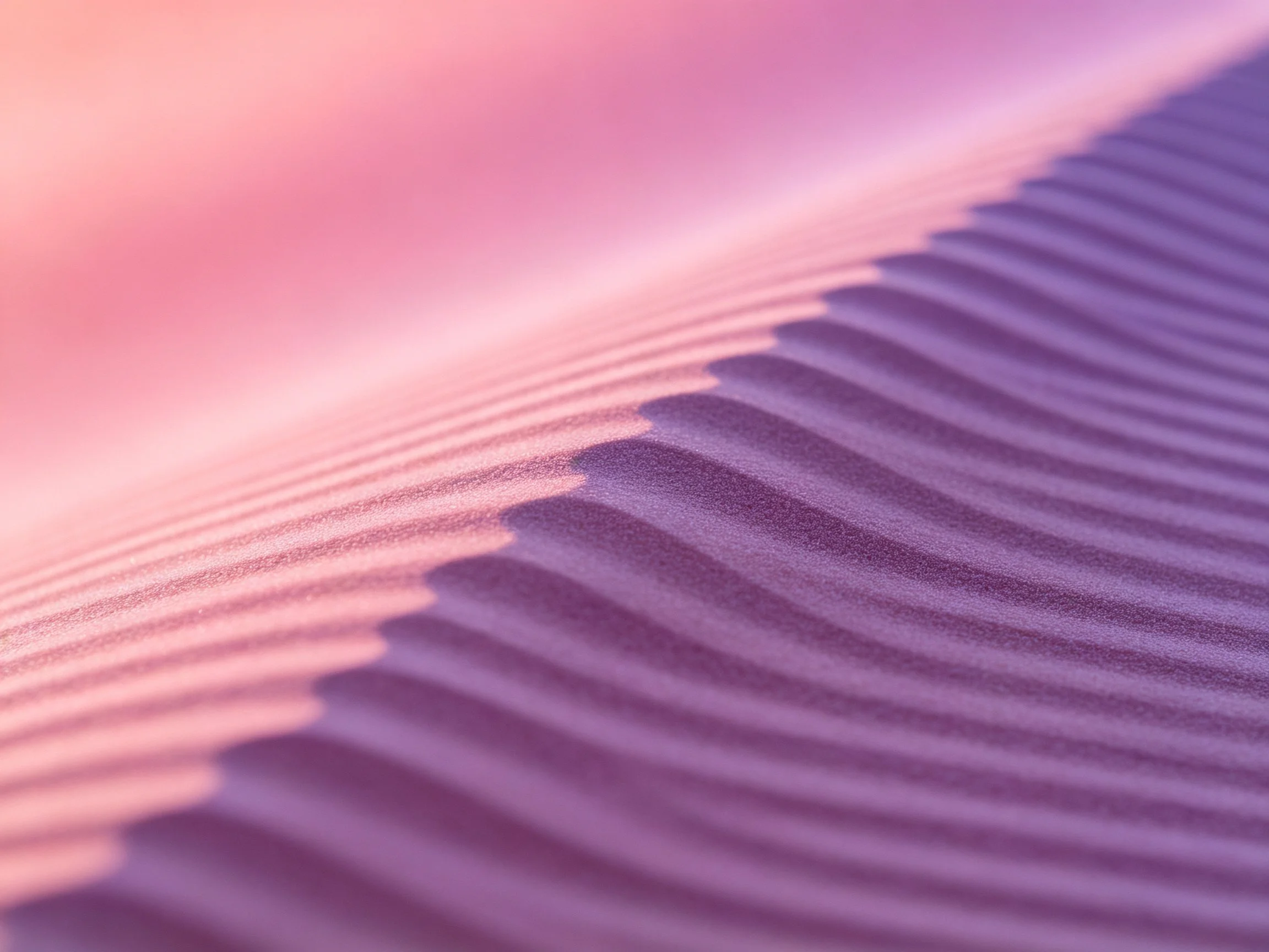 Close-up view of rippled sand dunes with pink and purple color gradients