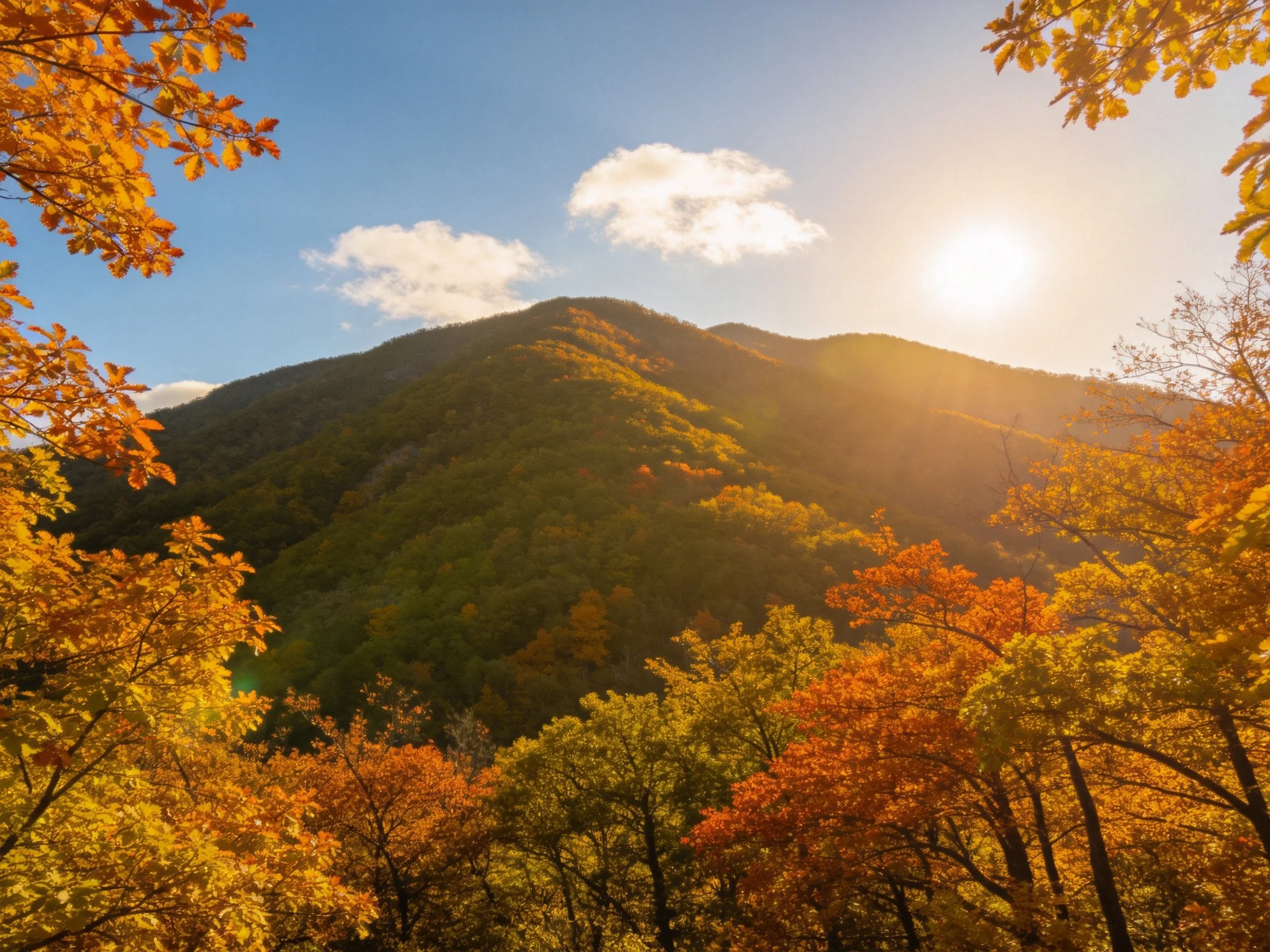 Colorful Autumn Forest Near a Sunlit Mountain