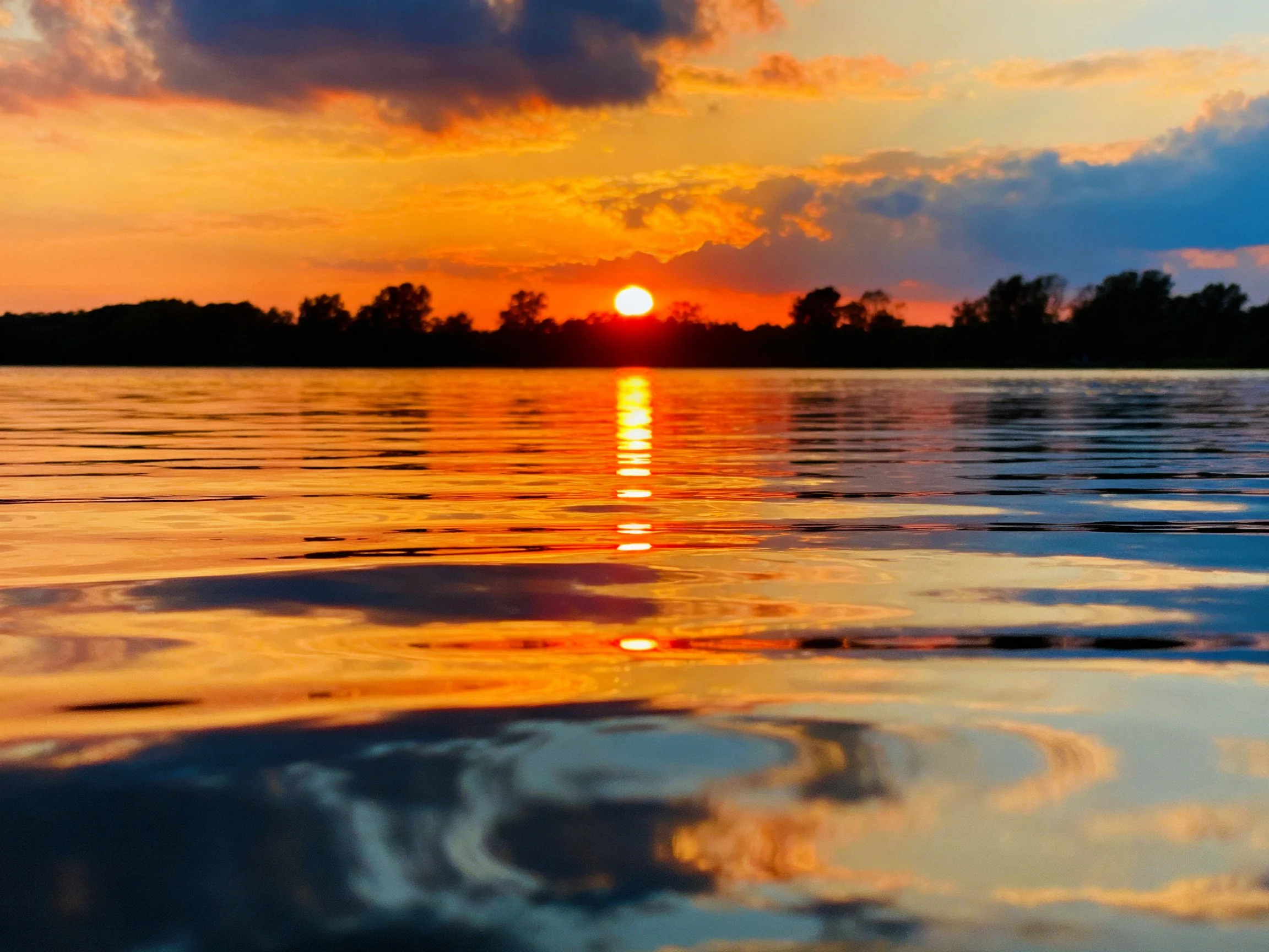 Colorful sunset over calm waters with tree silhouettes