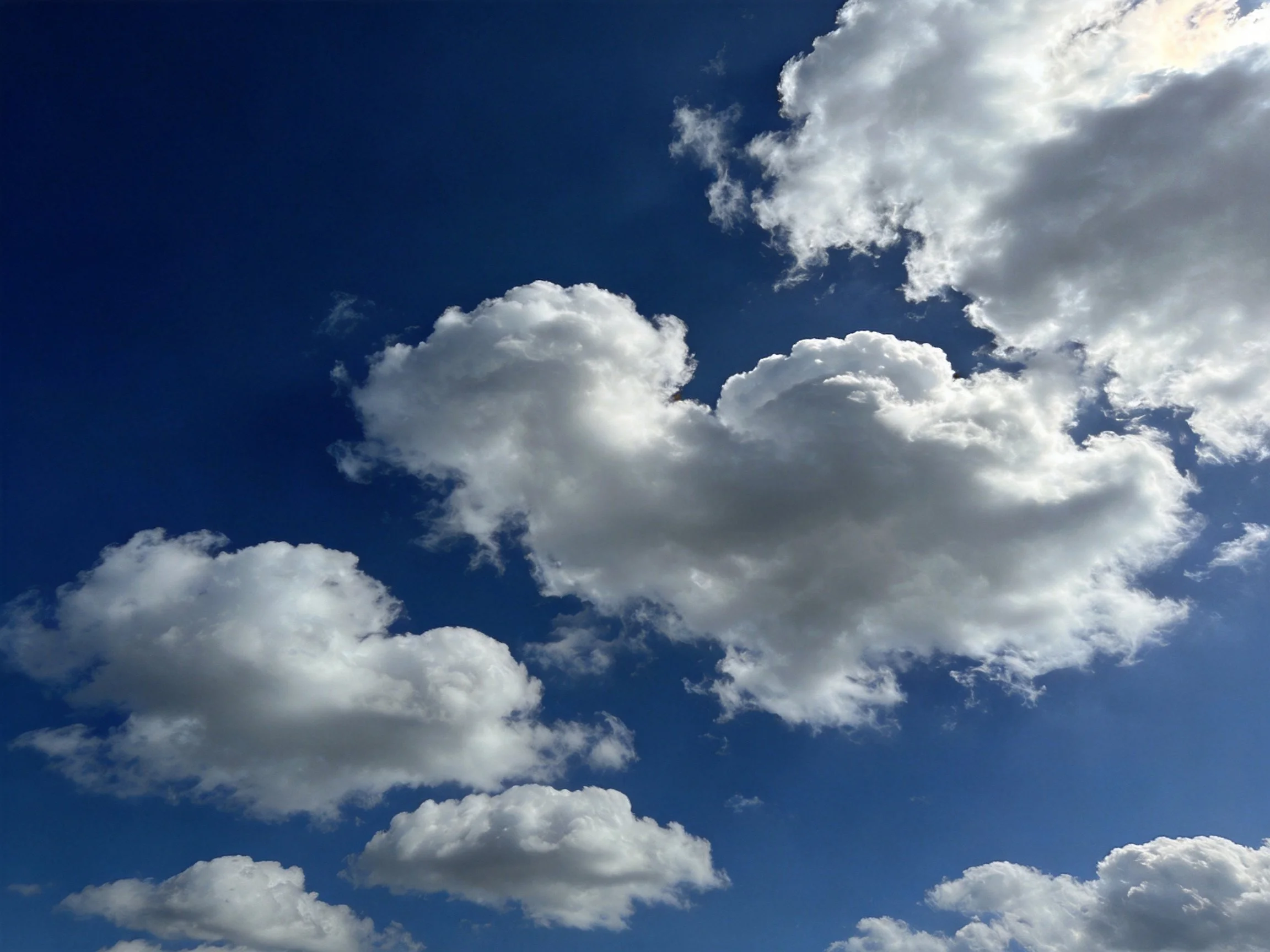 Deep blue sky with numerous fluffy white clouds scattered
