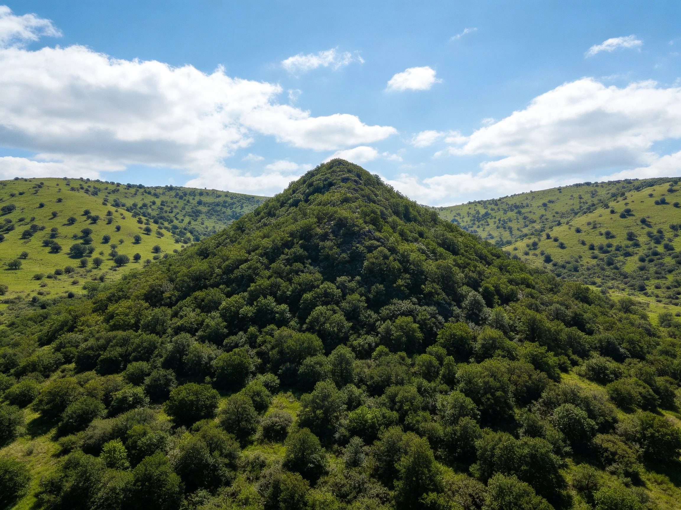 Dense forested hill surrounded by rolling green hills under bright sky