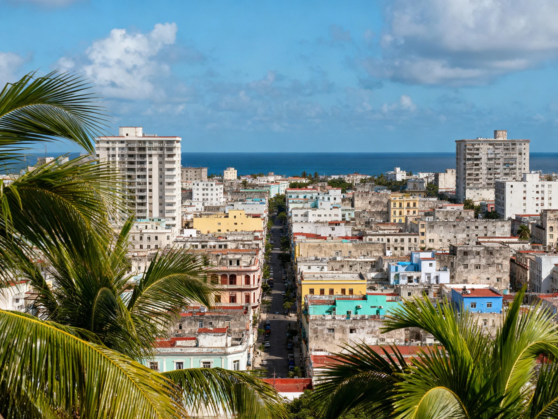 Diverse architectural styles, palm fronds, and ocean horizon