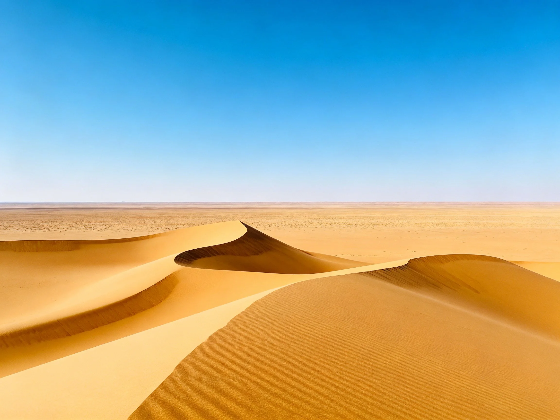 Expansive golden sand dunes stretch across a clear blue desert sky