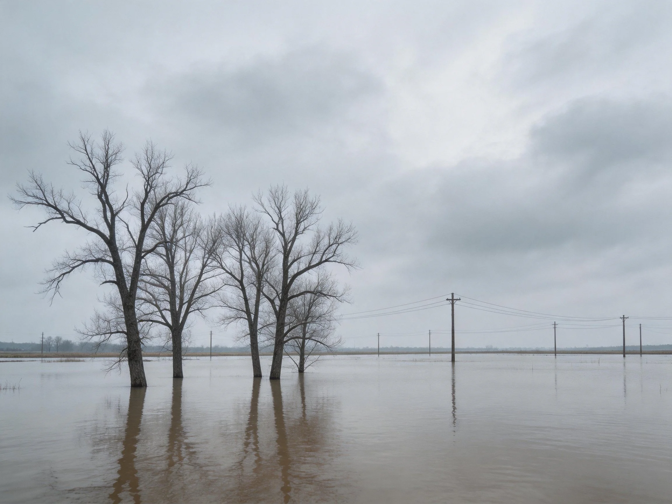 Floodwaters engulf leafless trees and utility poles under overcast sky