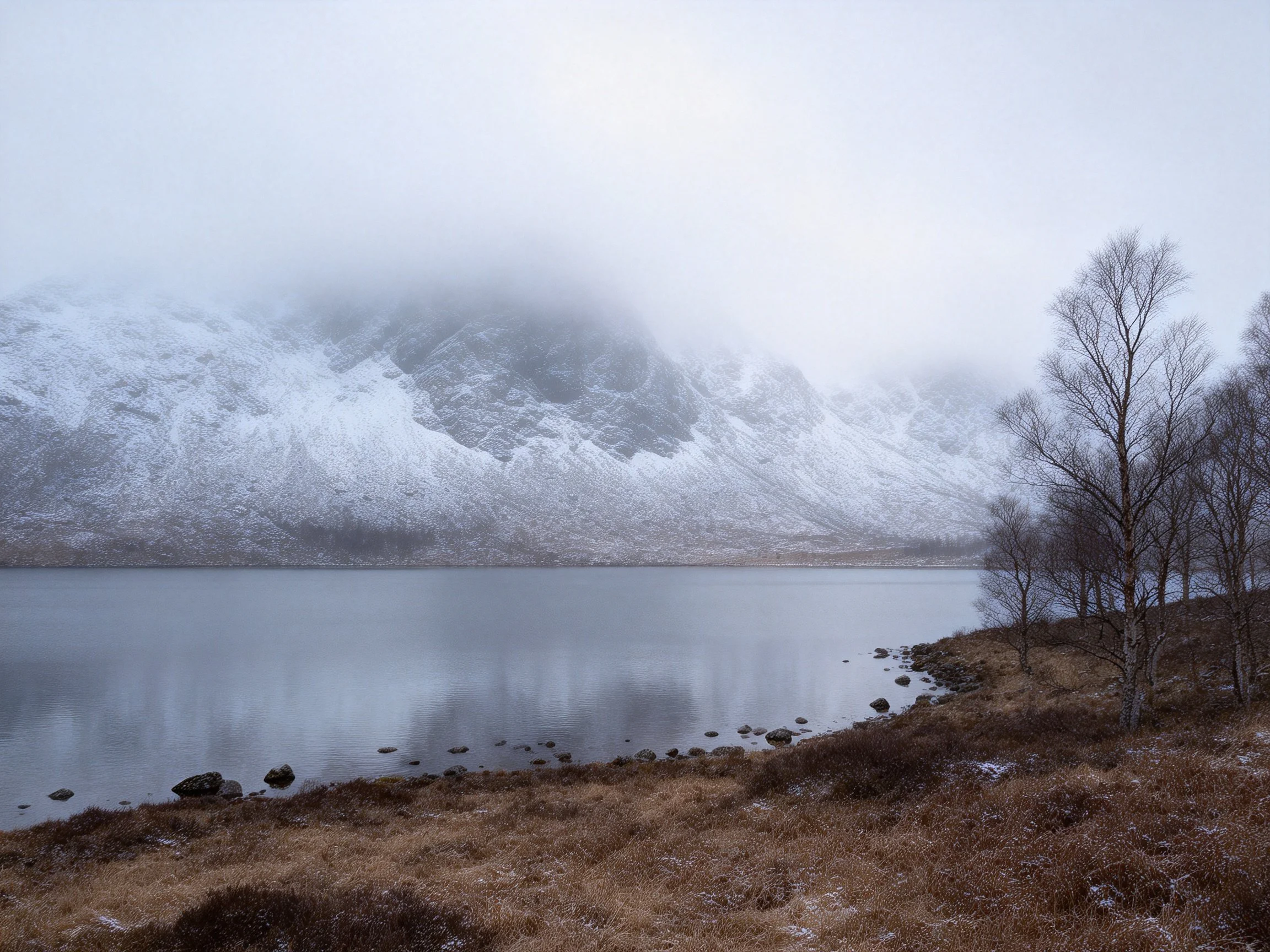 Foggy Lake and Snow-C Capped Mountains with Bare Trees