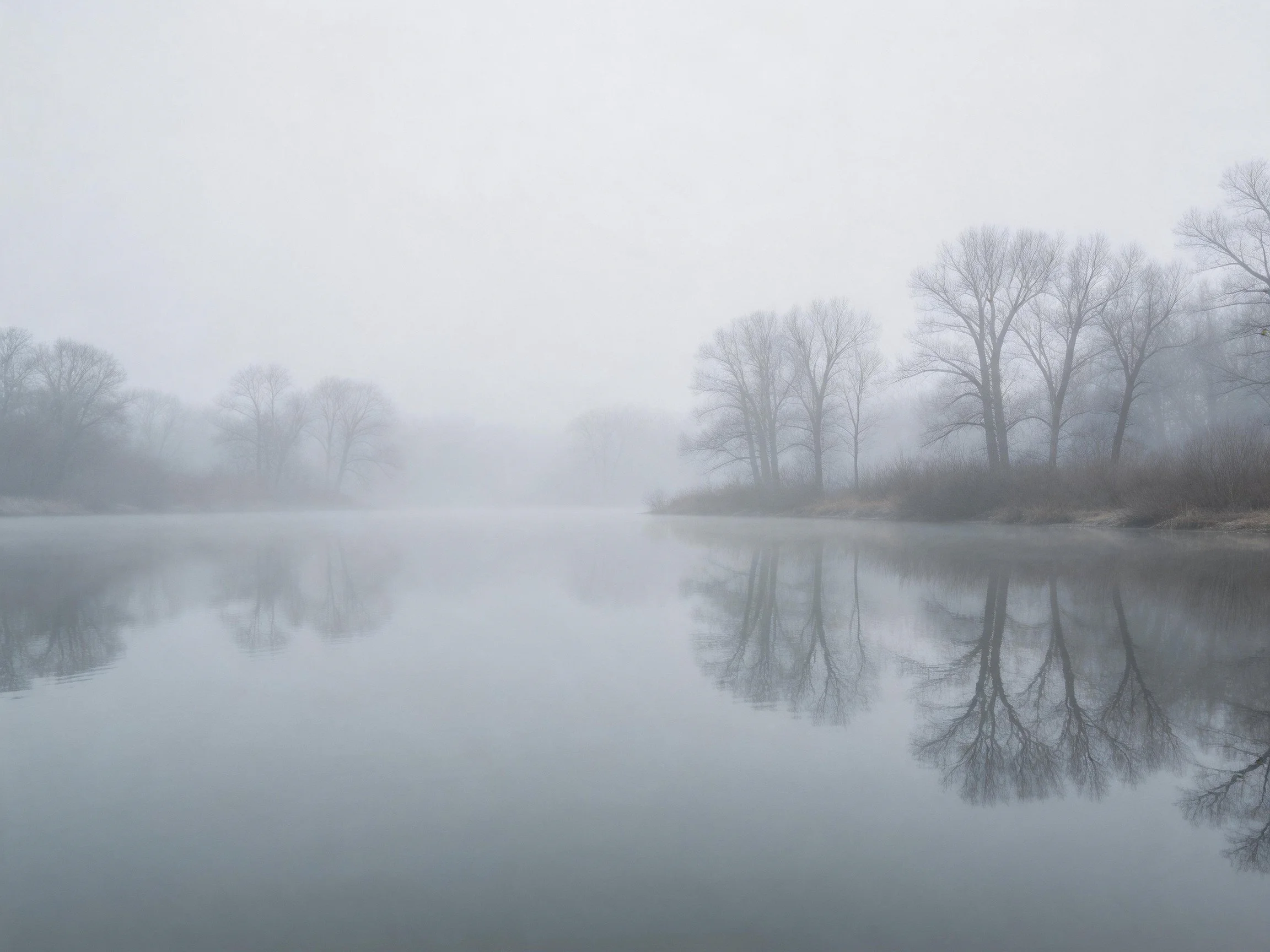 Foggy Morning Over Calm Water Reflecting Bare Trees