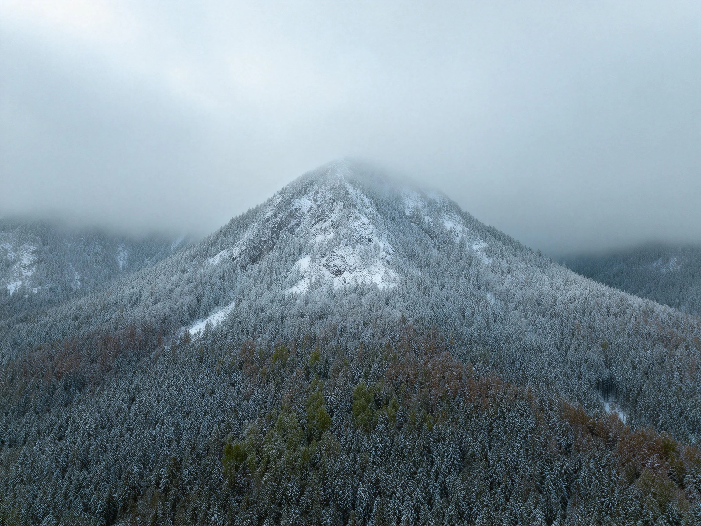 Frost - Laced Mountain Peak Amongst Foggy Forest