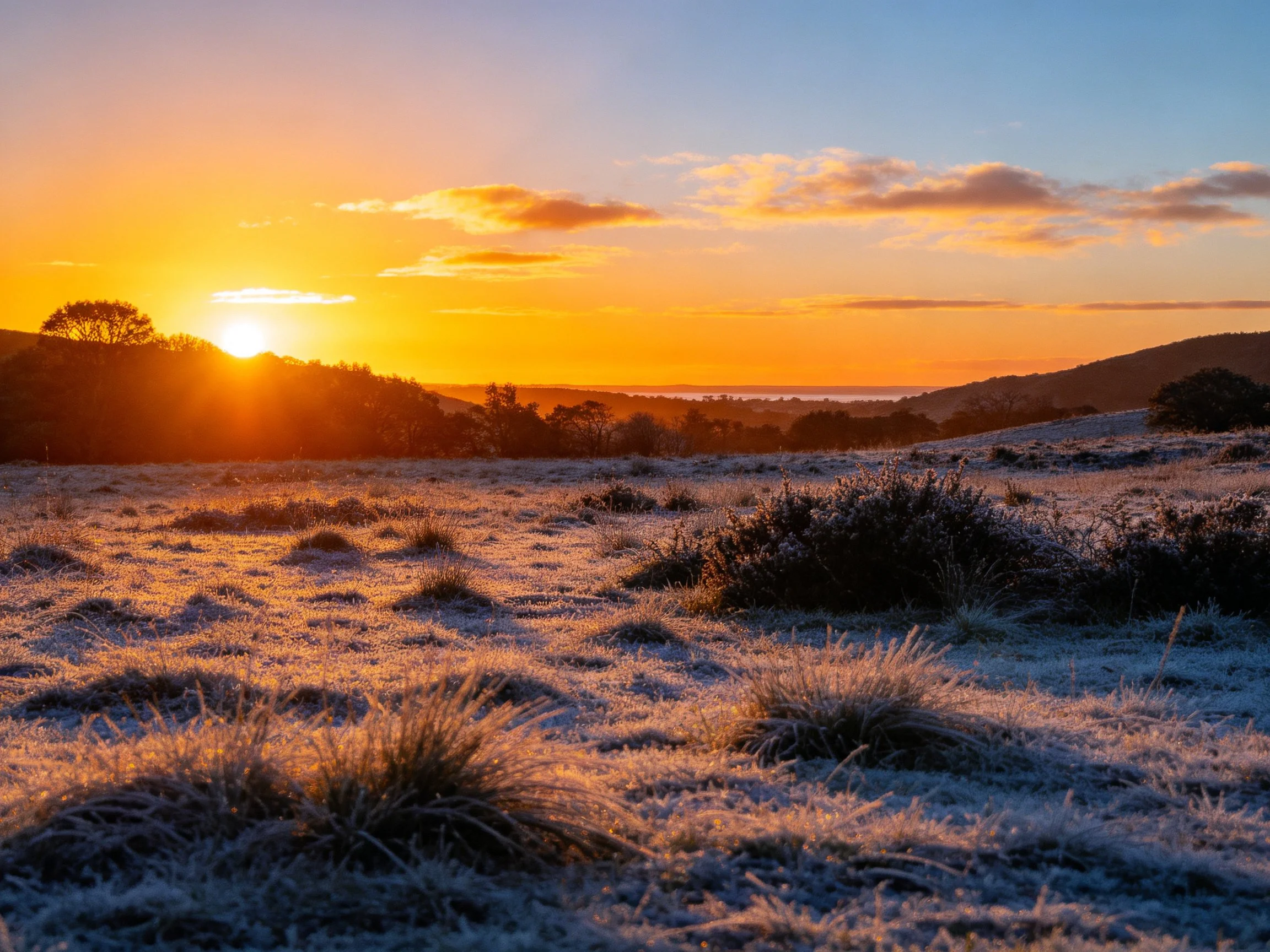 Frosty field under vibrant sunrise with rolling hills