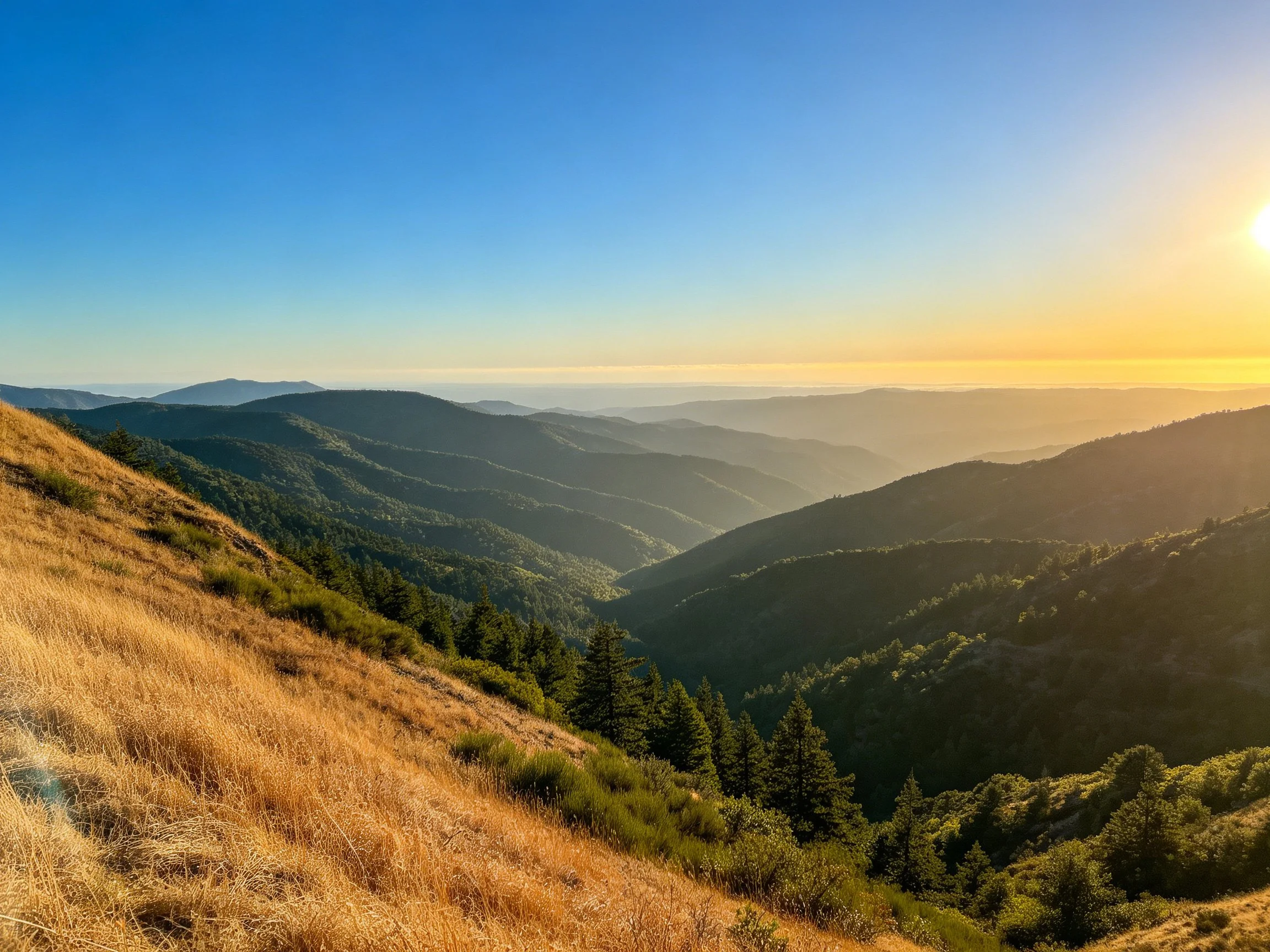 Golden Hills and Forested Valleys Under Bright Sunlight