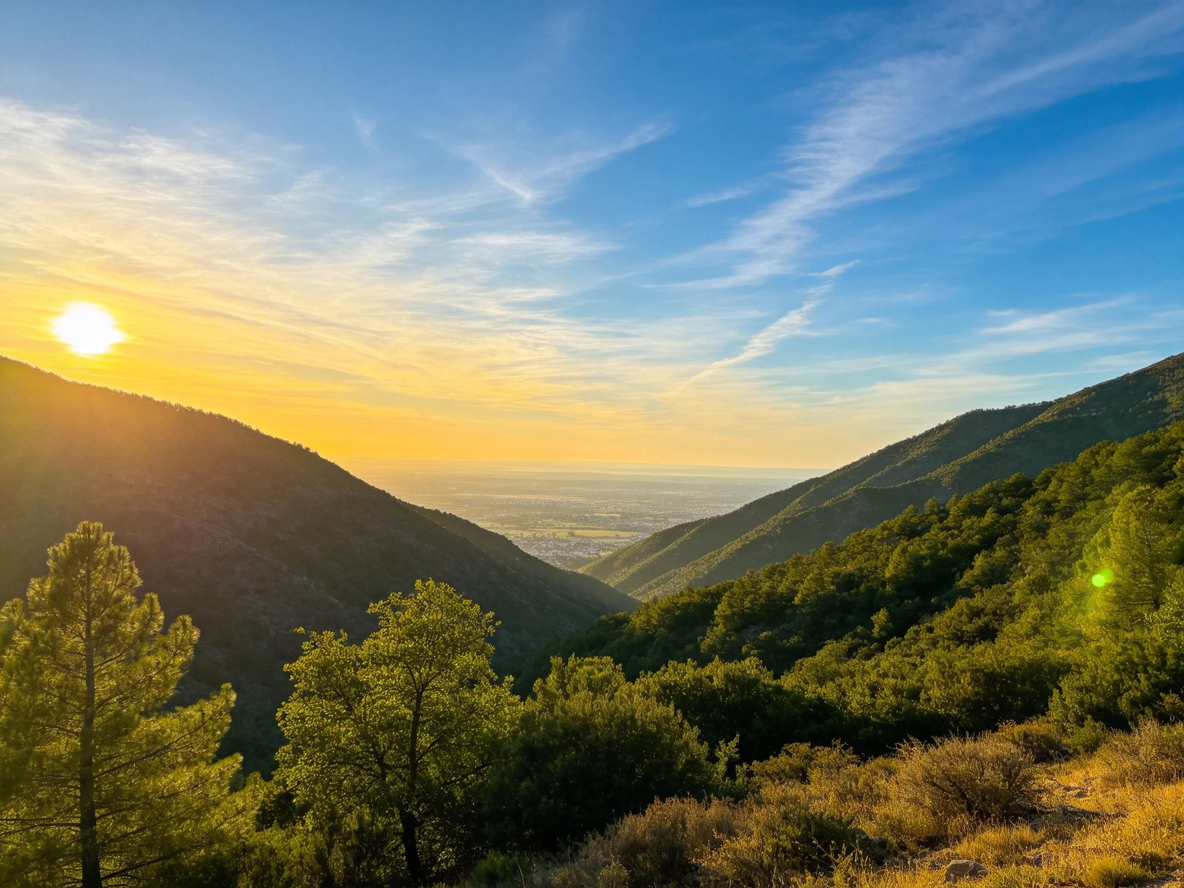 Golden-Hued Mountain Valley with Dense Green Foliage and Vibrant Sky