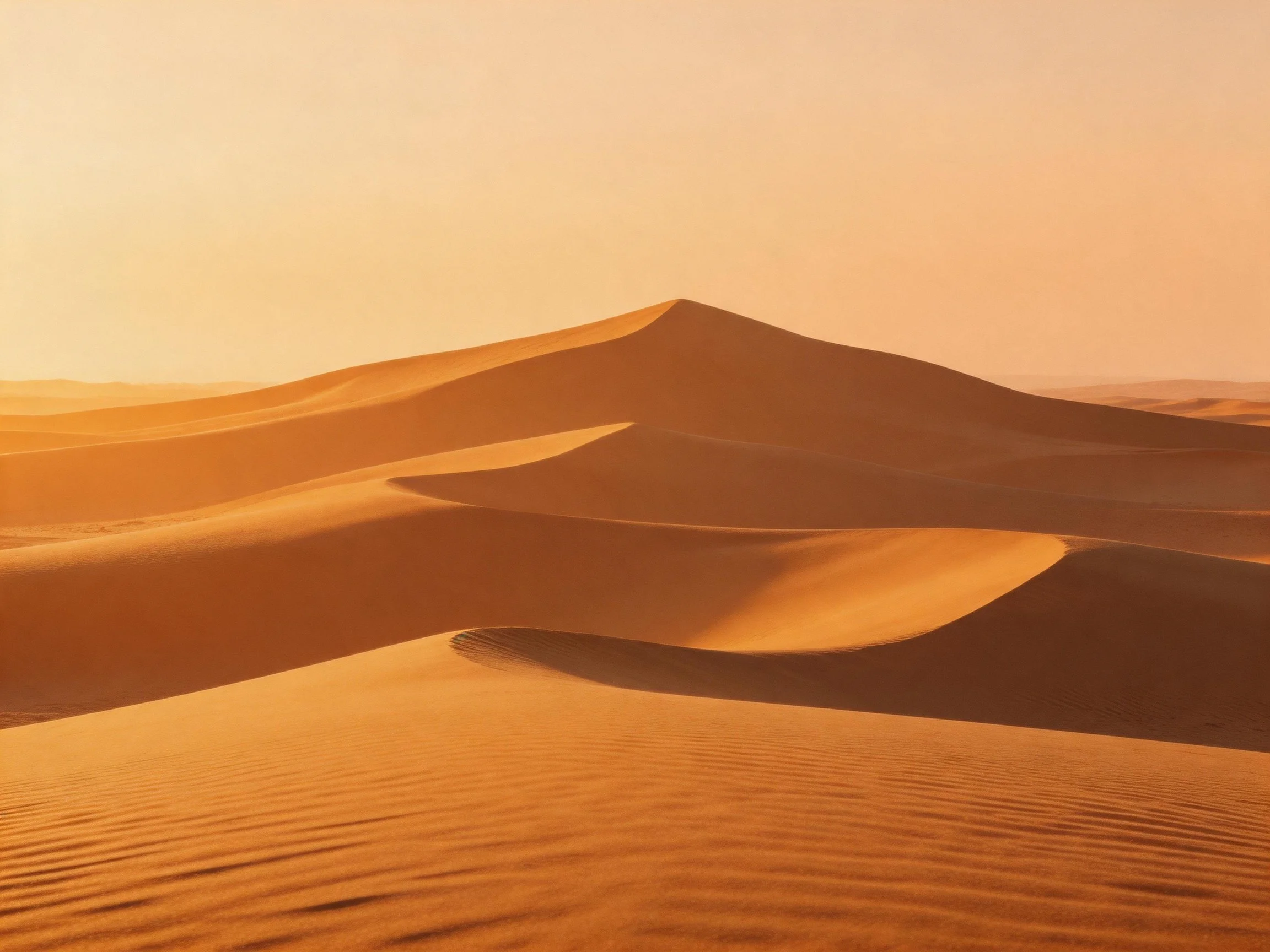 Golden Sand Dunes Spread Across the Desert Under Warm Light
