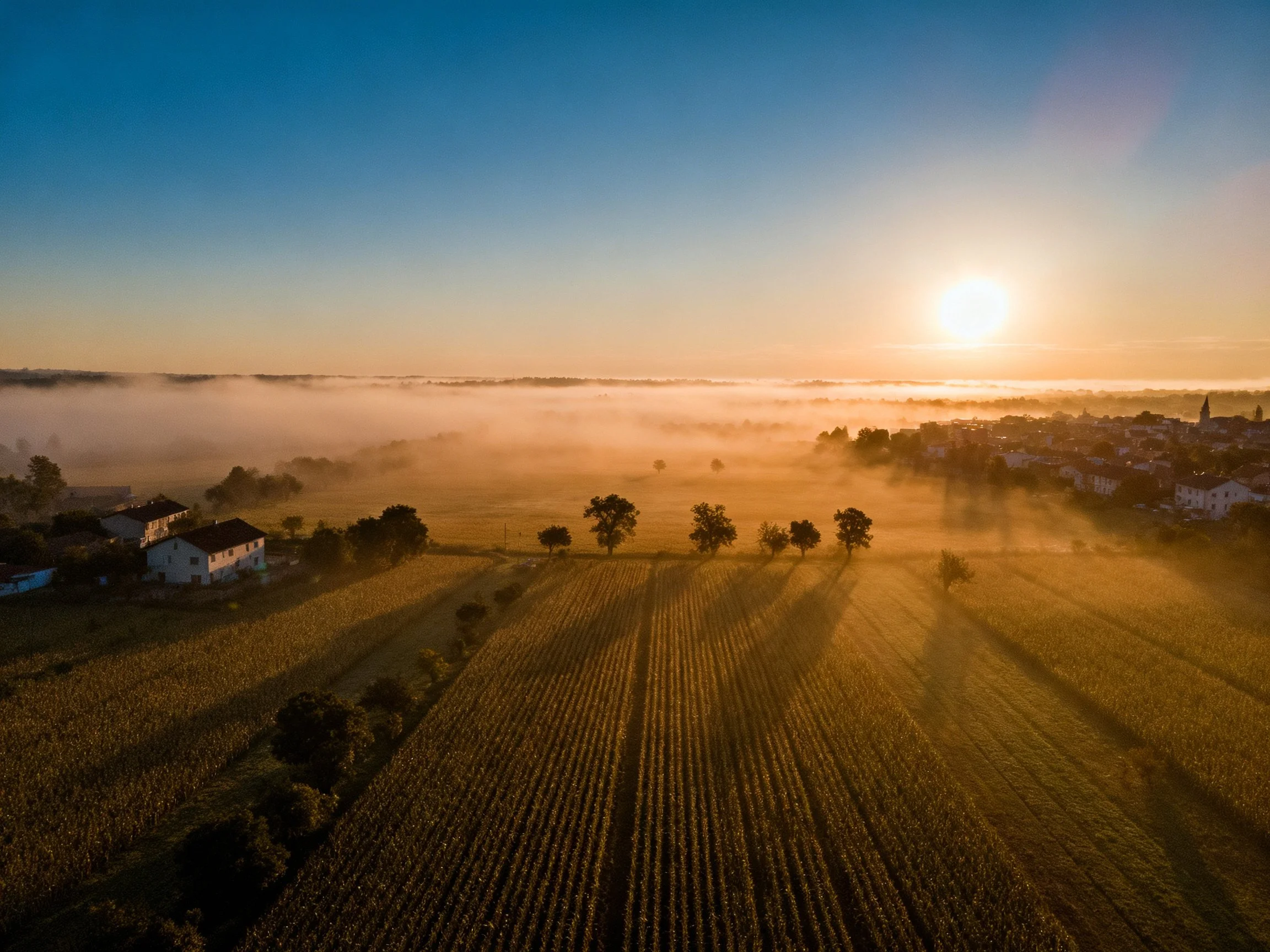 Golden Sunrise Over Rural Fields and Mist-Covered Village