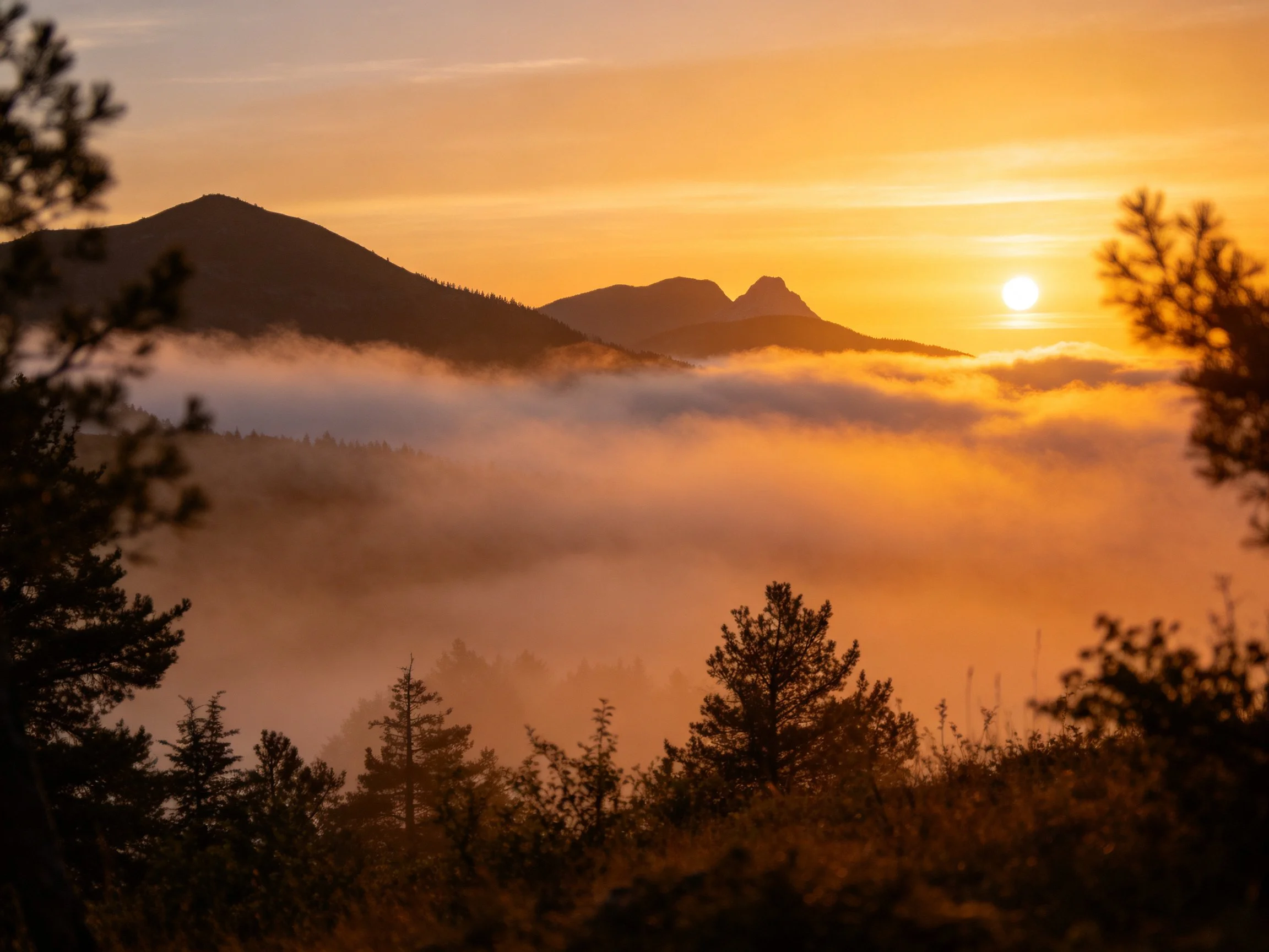 Golden Sunset Over Mist-Covered Mountain Peaks and Tree Silhouettes