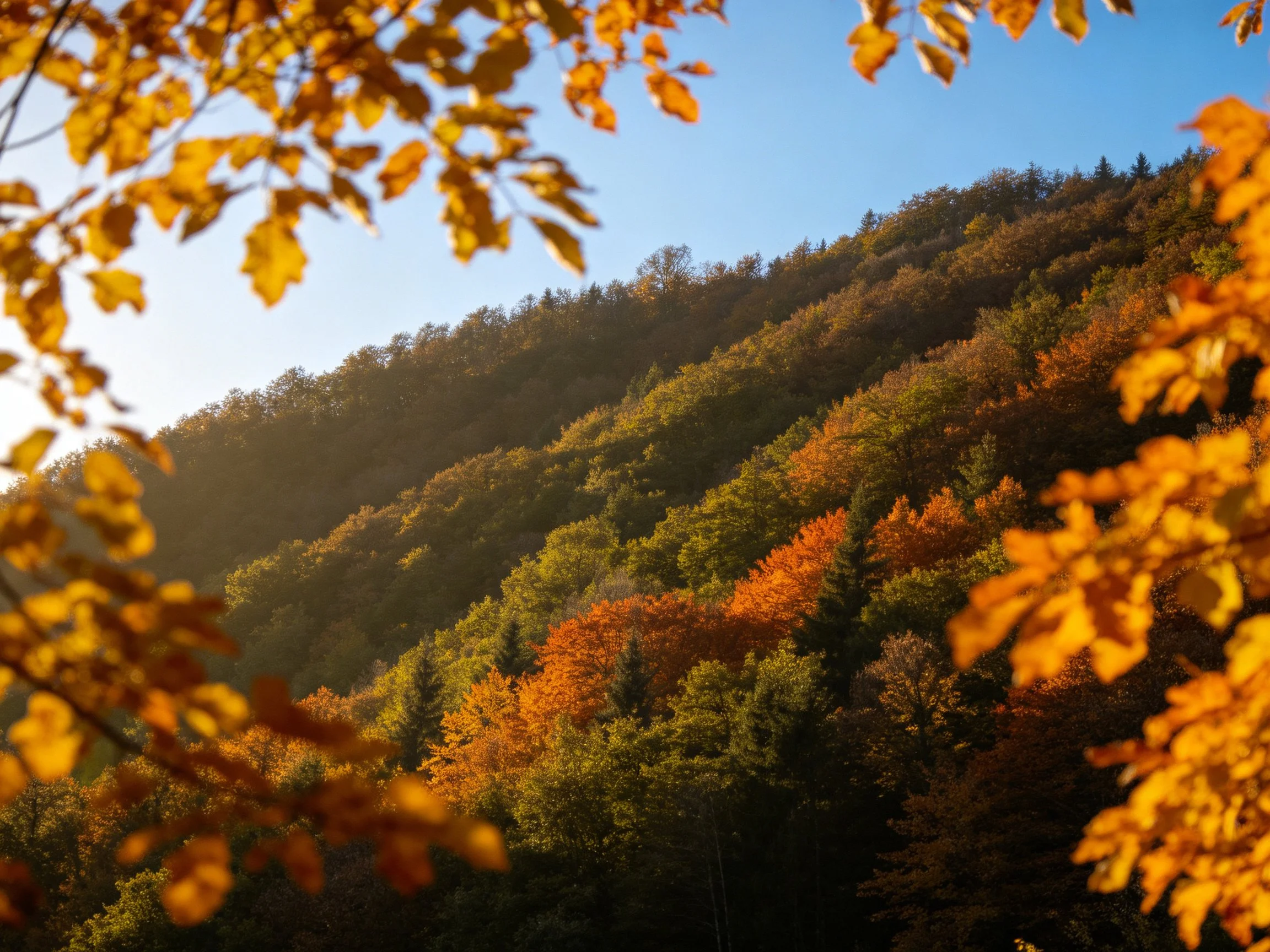 Golden autumn foliage frames colorful mountain forest