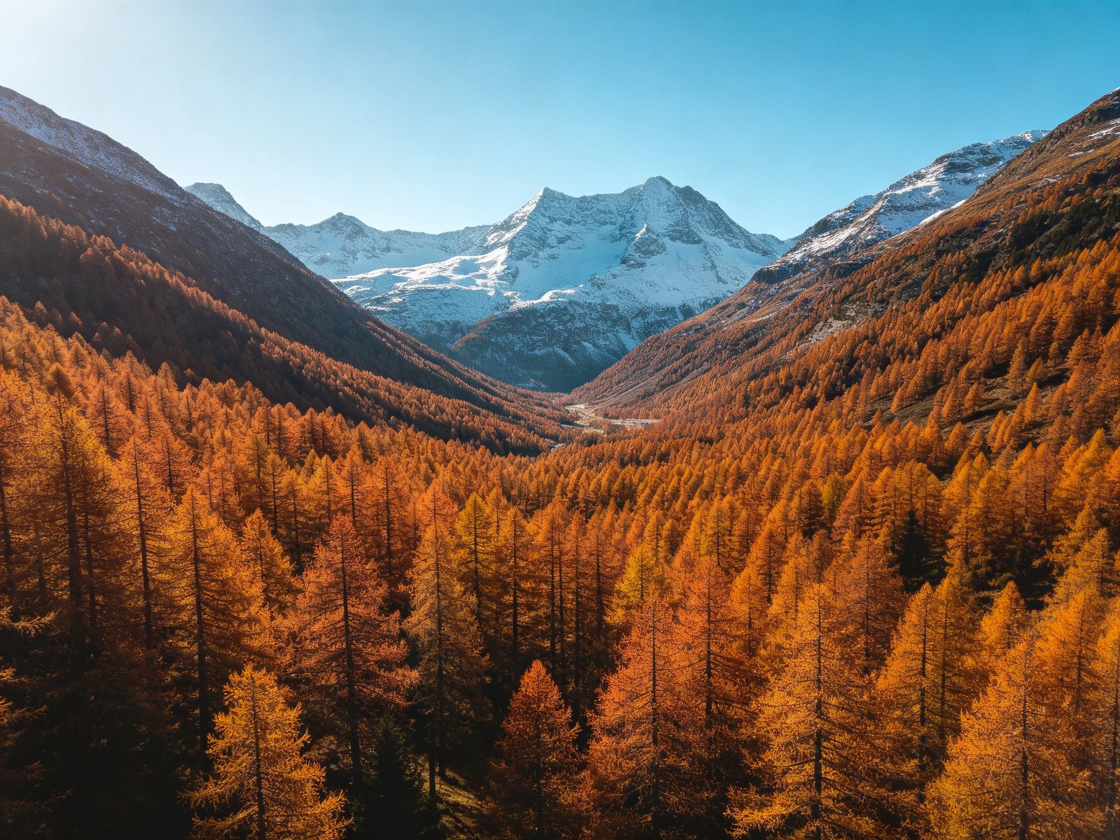 Golden forest valley with snow-capped mountain backdrop