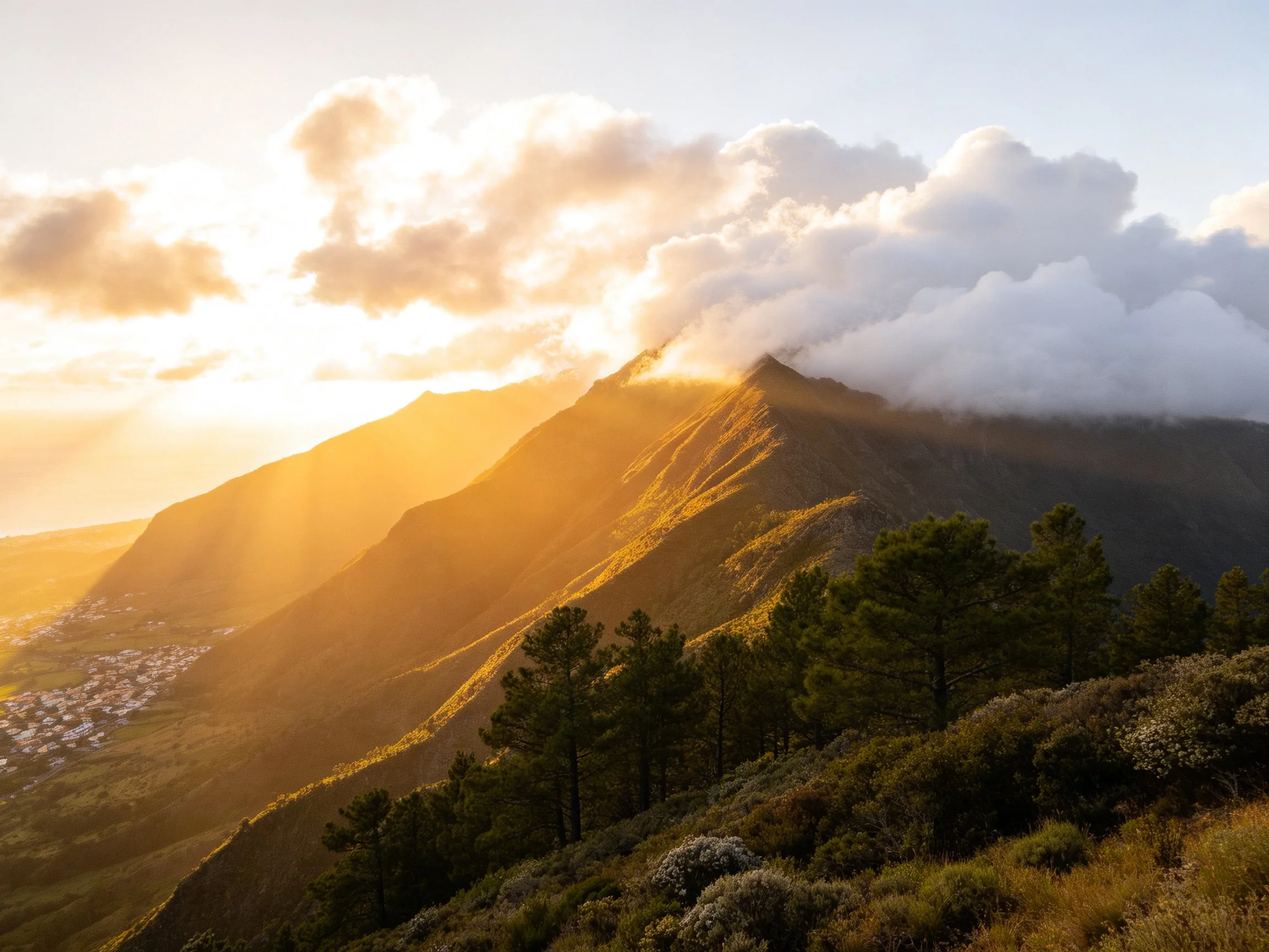 Golden hour light illuminates misty mountain peaks with pine forests