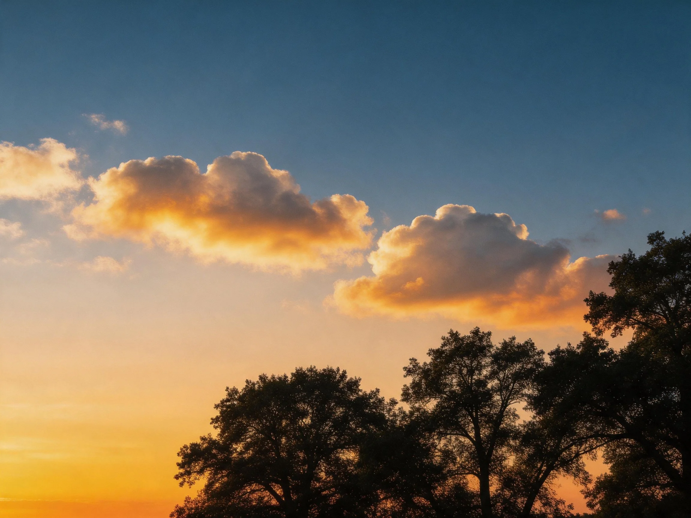Golden-hued sunset sky with fluffy clouds and tree silhouettes