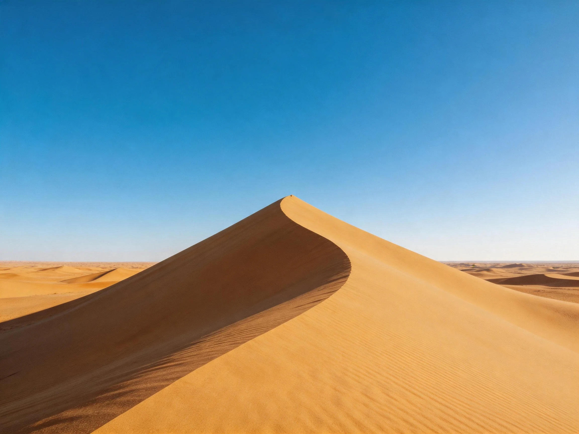 Golden sand dunes rise beneath a clear blue sky