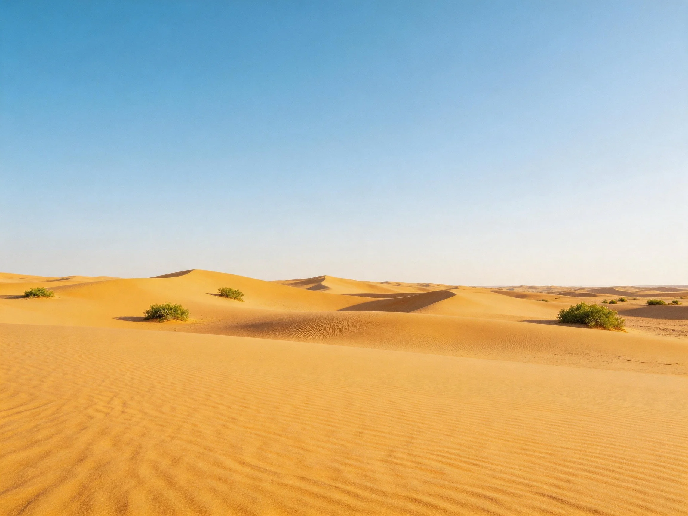Golden sand dunes spread across a clear blue desert with sparse greenery