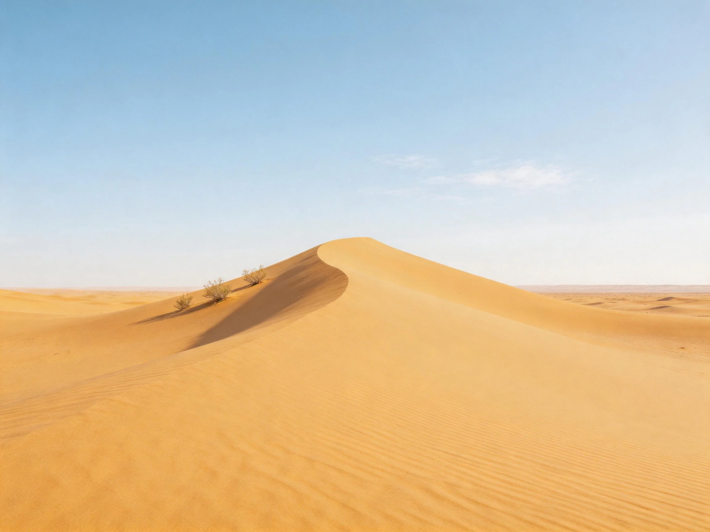 Golden sand dunes stretch under a clear blue sky with sparse vegetation.