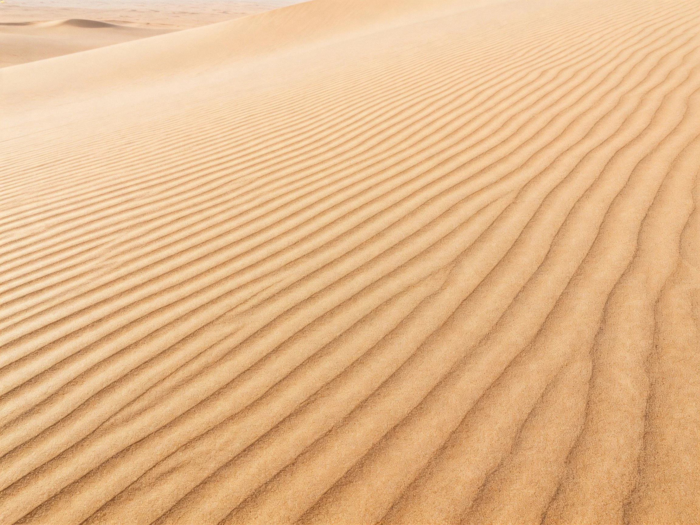 Golden sand dunes with distinct ripple patterns