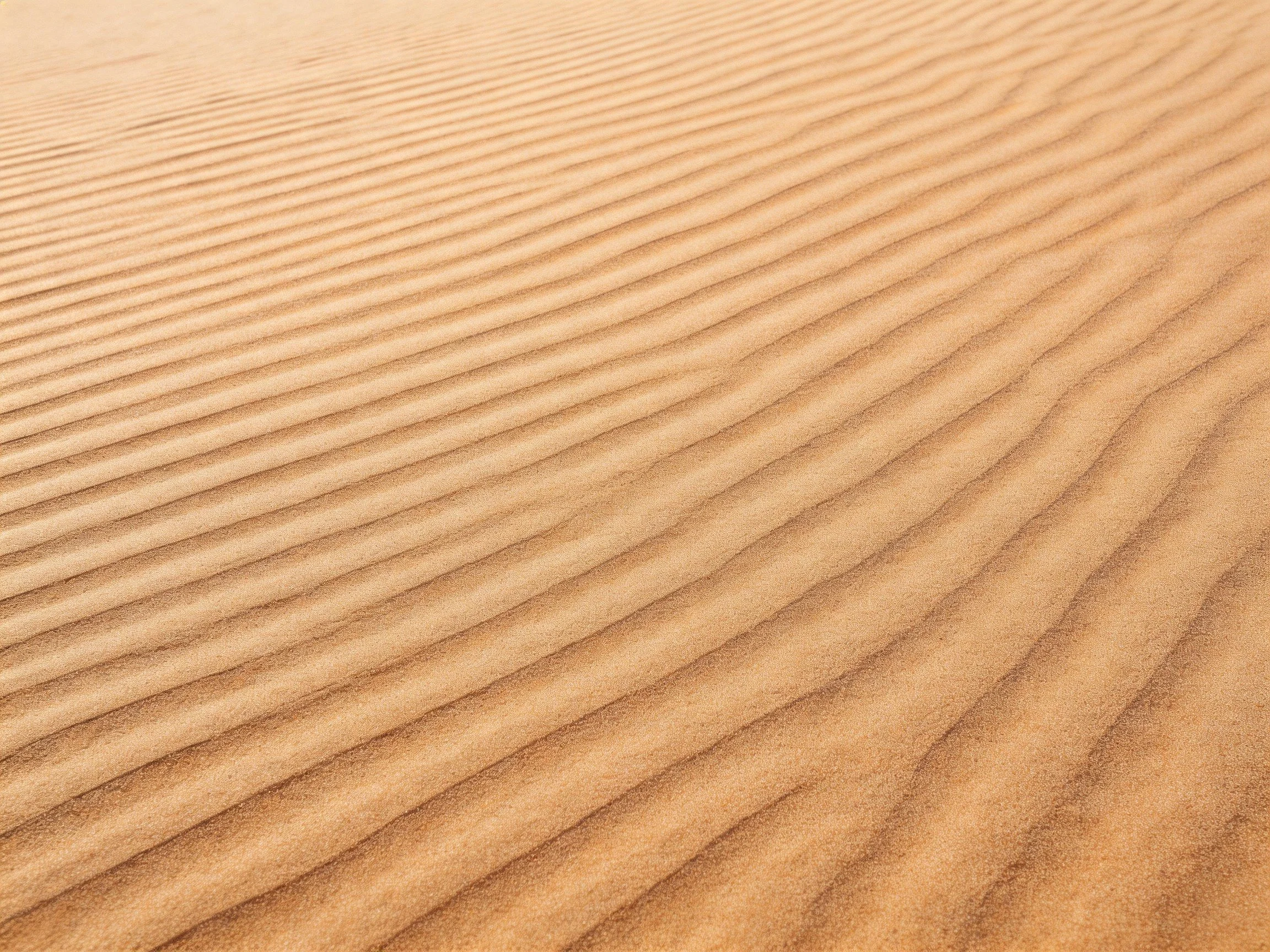 Golden sand dunes with rhythmic ripple patterns across the landscape