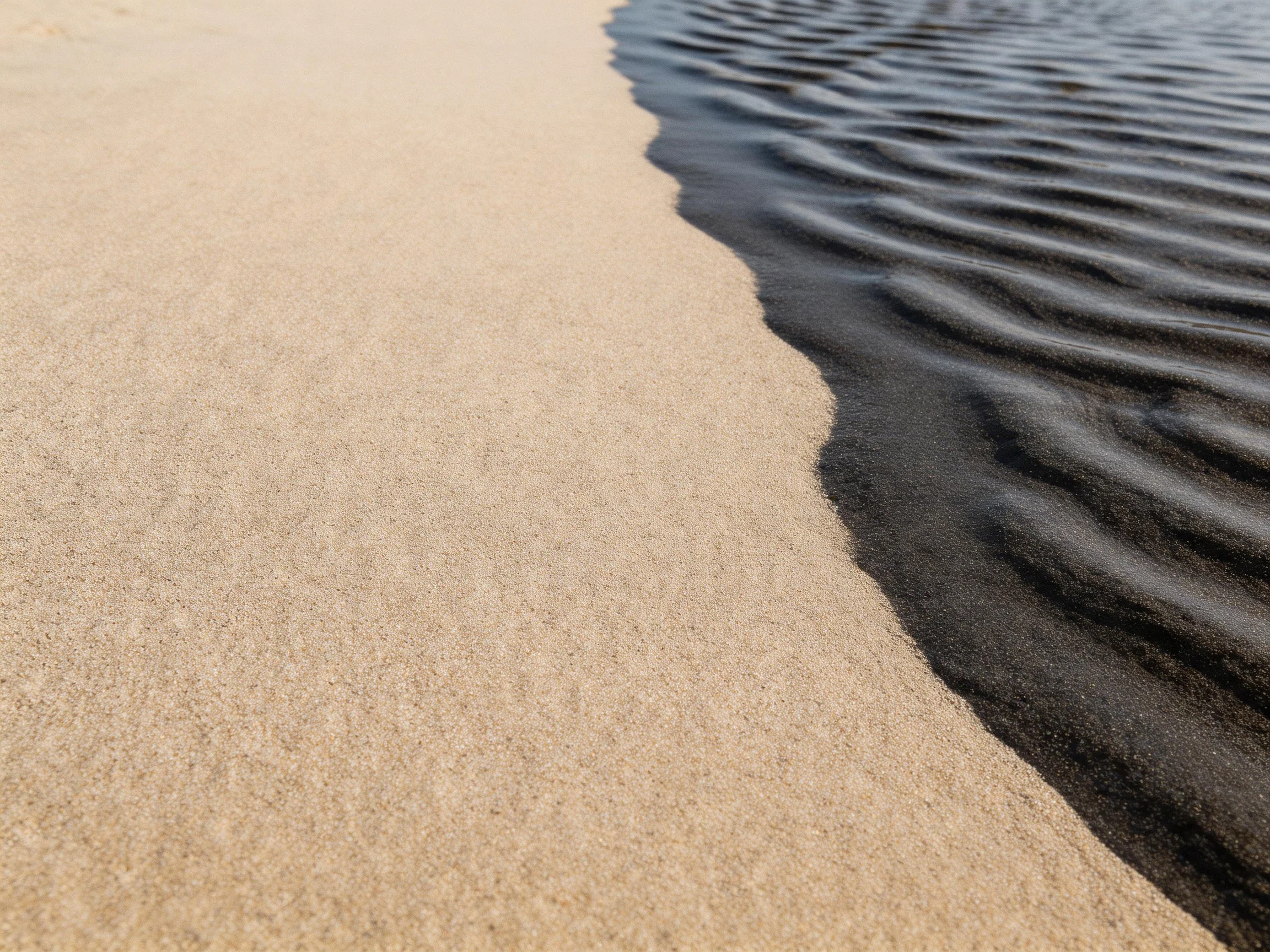 Golden sand meets dark rippled water at shoreline
