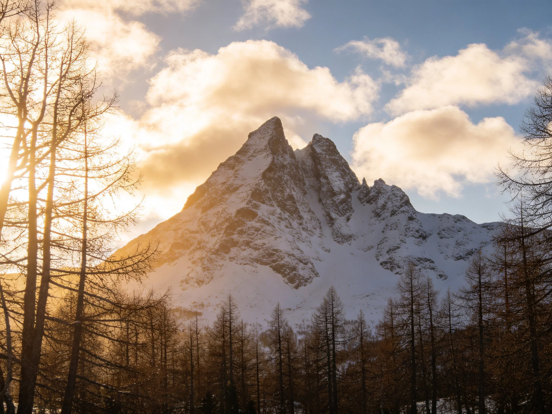 Golden sunlight illuminates snow - covered mountain peak beside bare trees