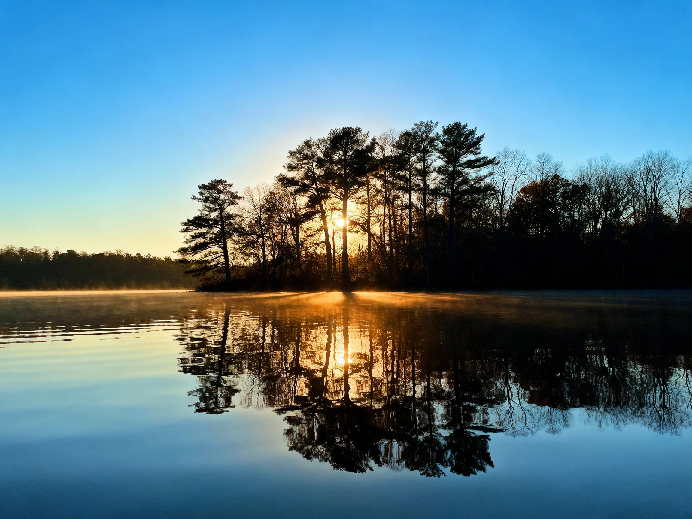 Golden sunrise reflects forest in calm lake waters