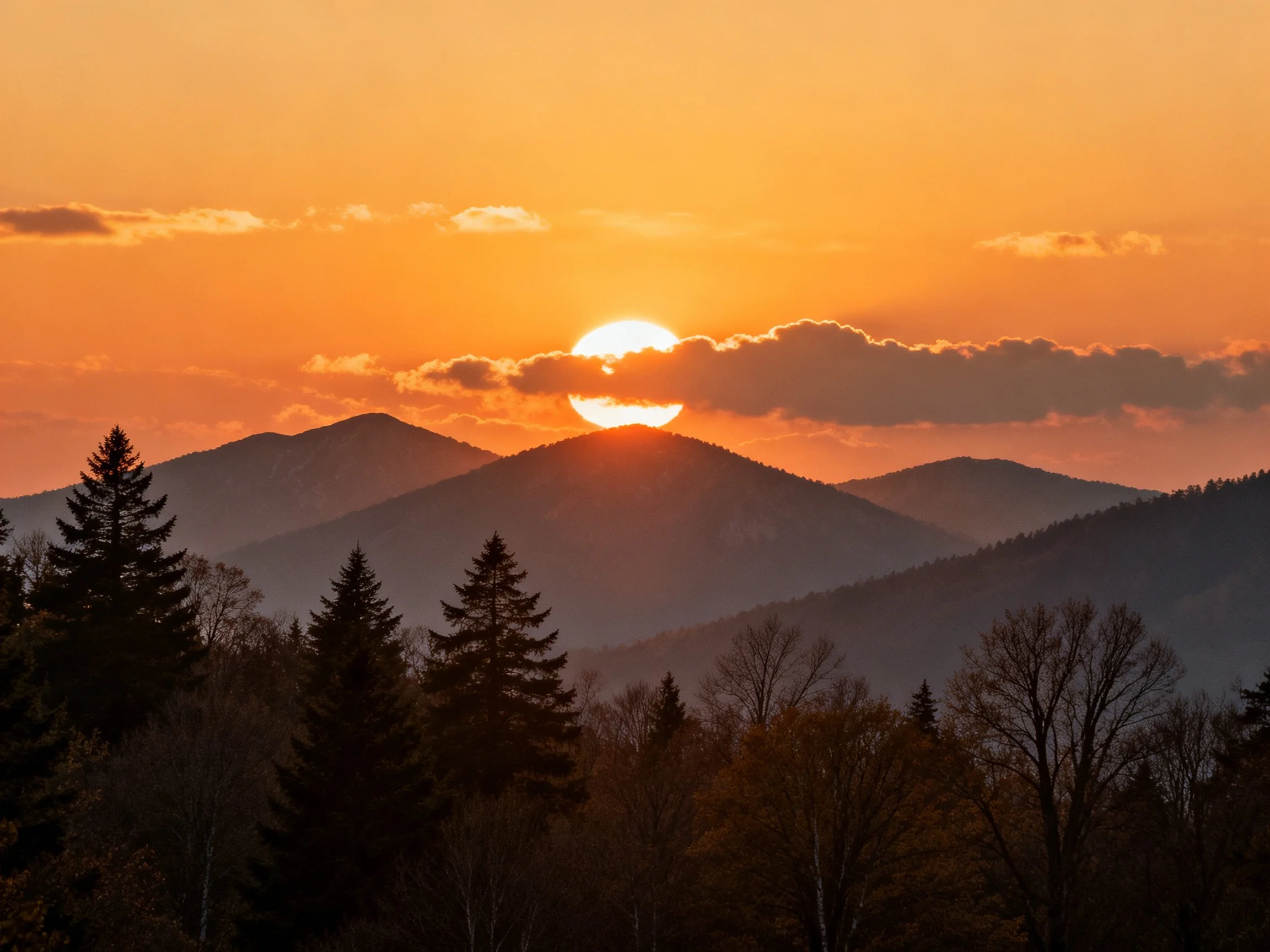 Golden sunset over mountain range with silhouetted trees