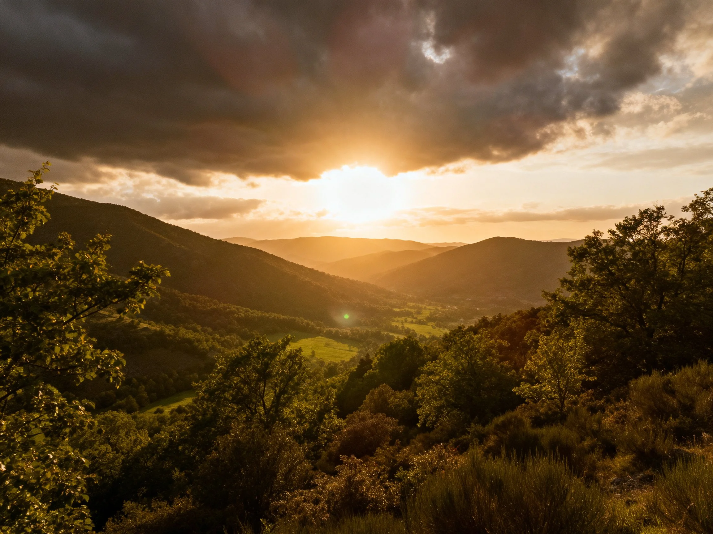 Golden sunset over rolling hills and lush forest